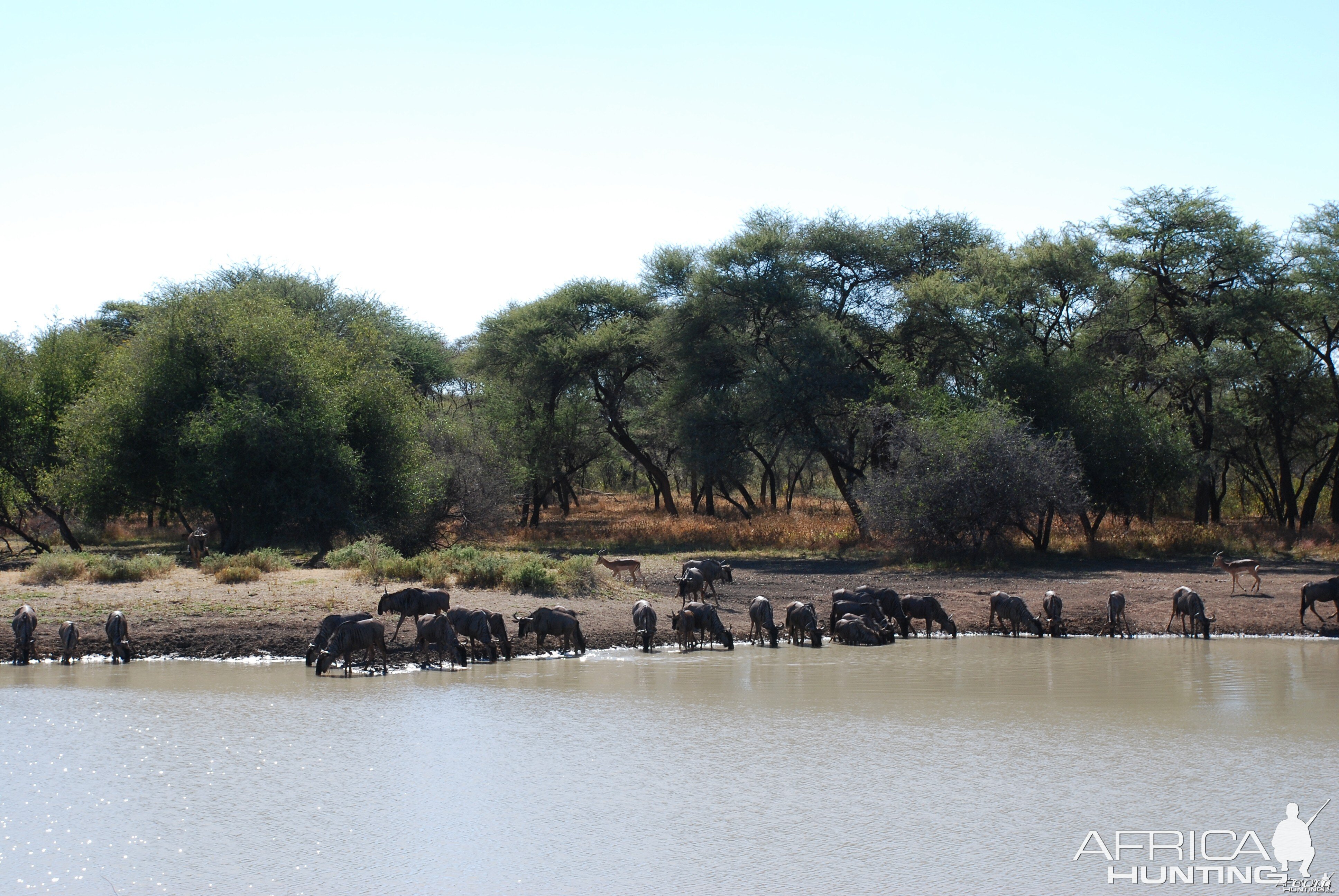 Ozondjahe Hunting Safaris, Namibia