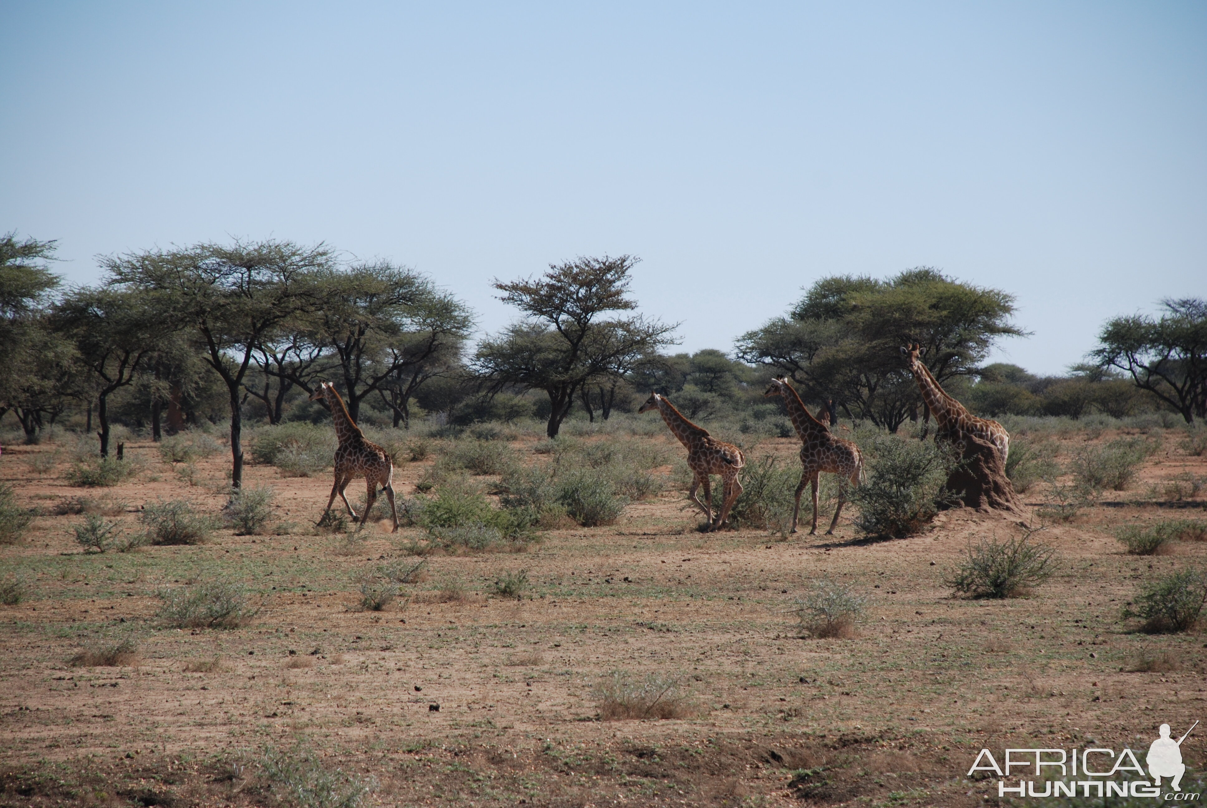 Ozondjahe Hunting Safaris, Namibia