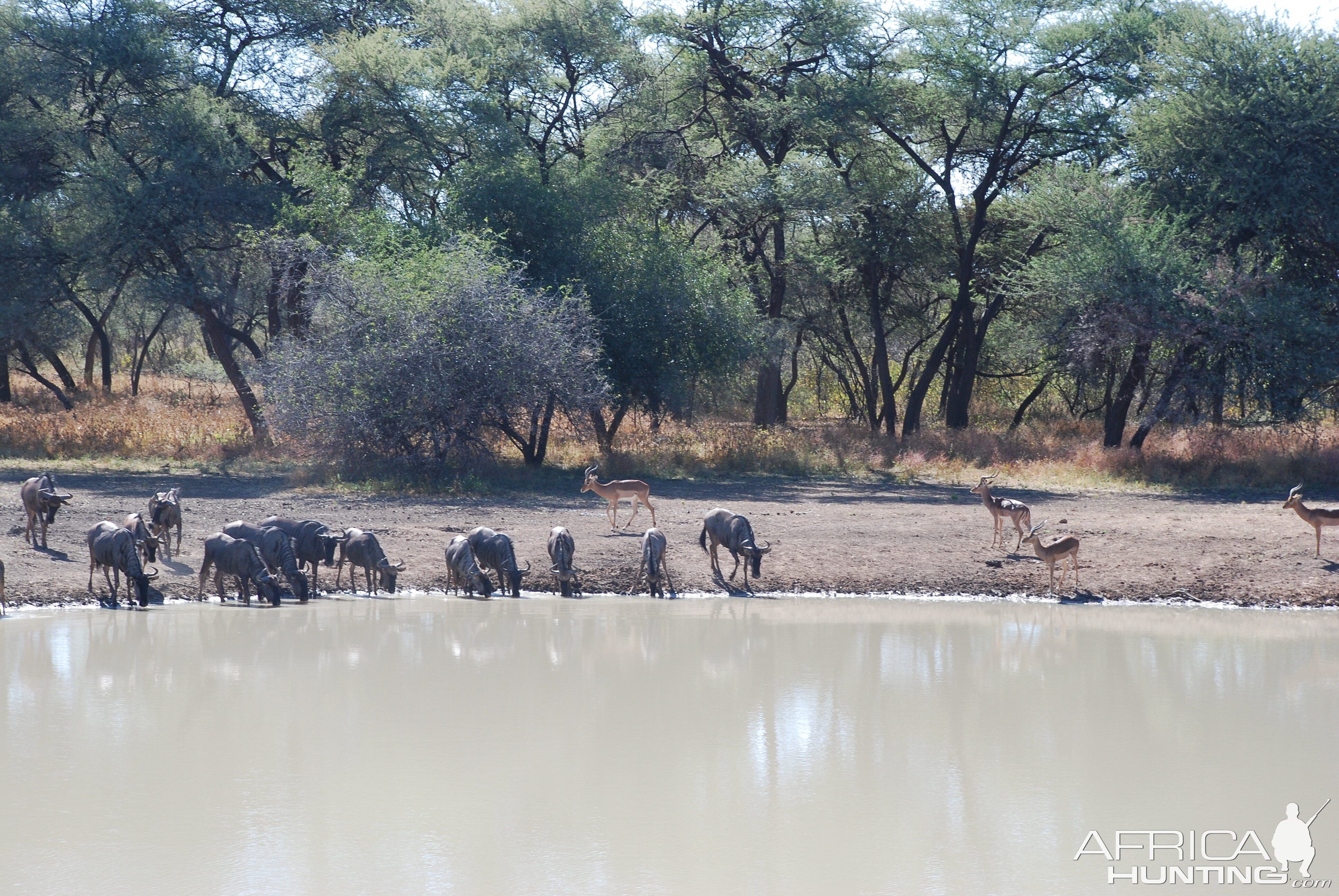 Ozondjahe Hunting Safaris, Namibia