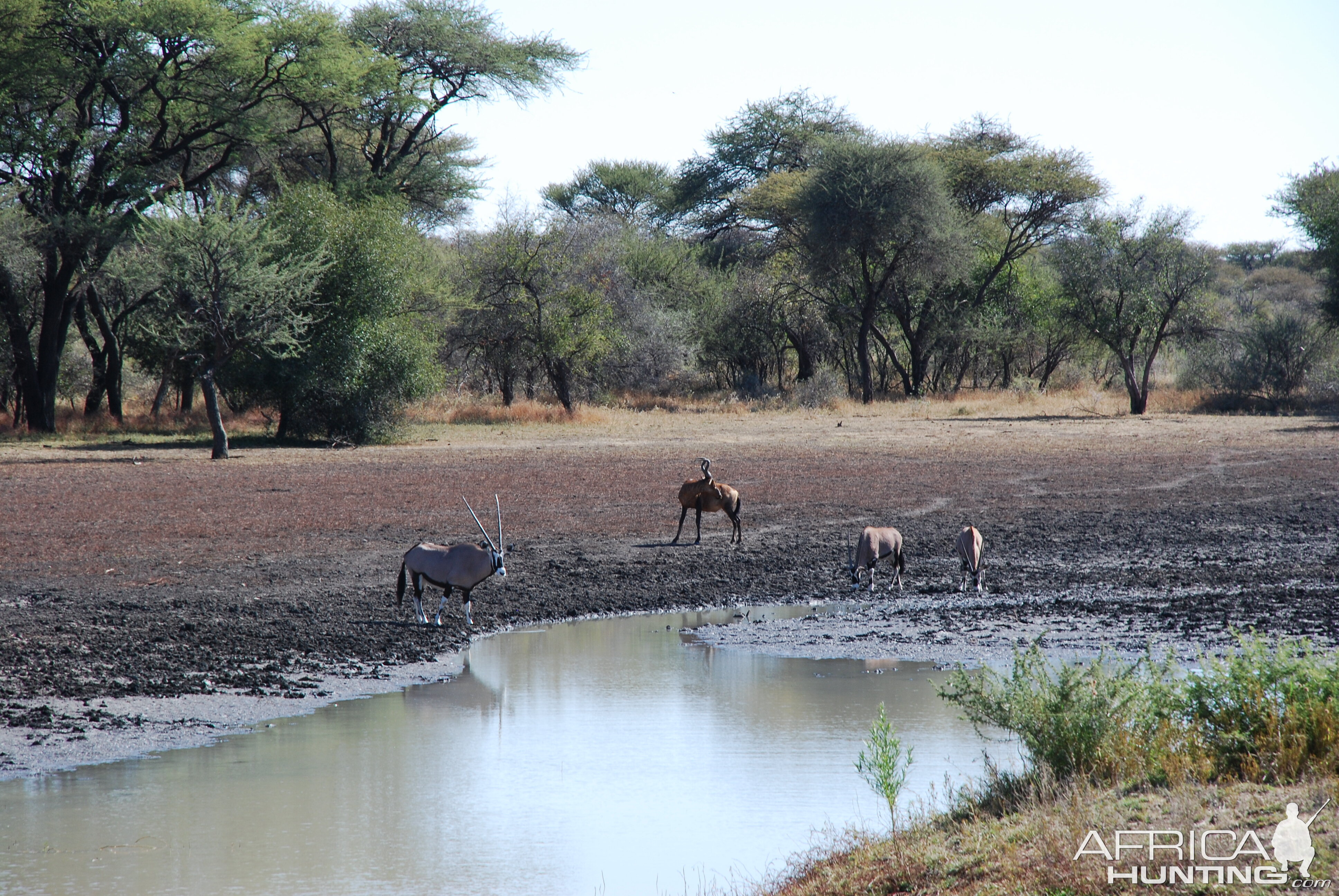 Ozondjahe Hunting Safaris, Namibia