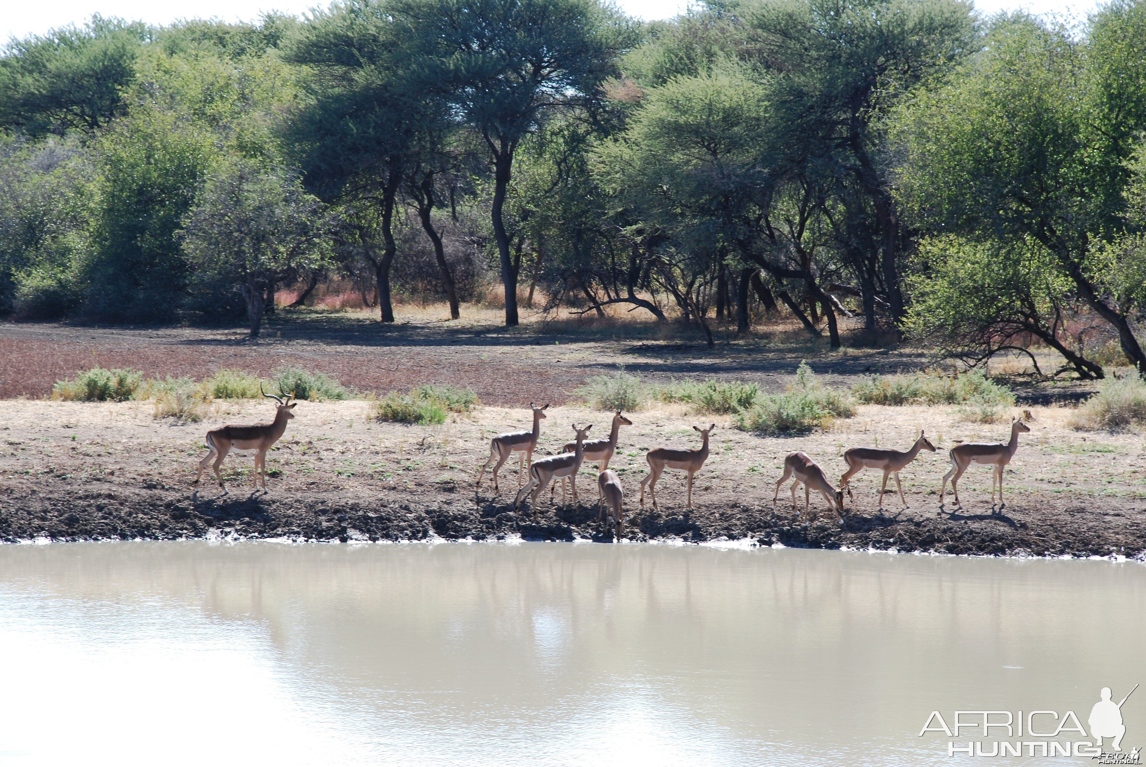 Ozondjahe Hunting Safaris, Namibia