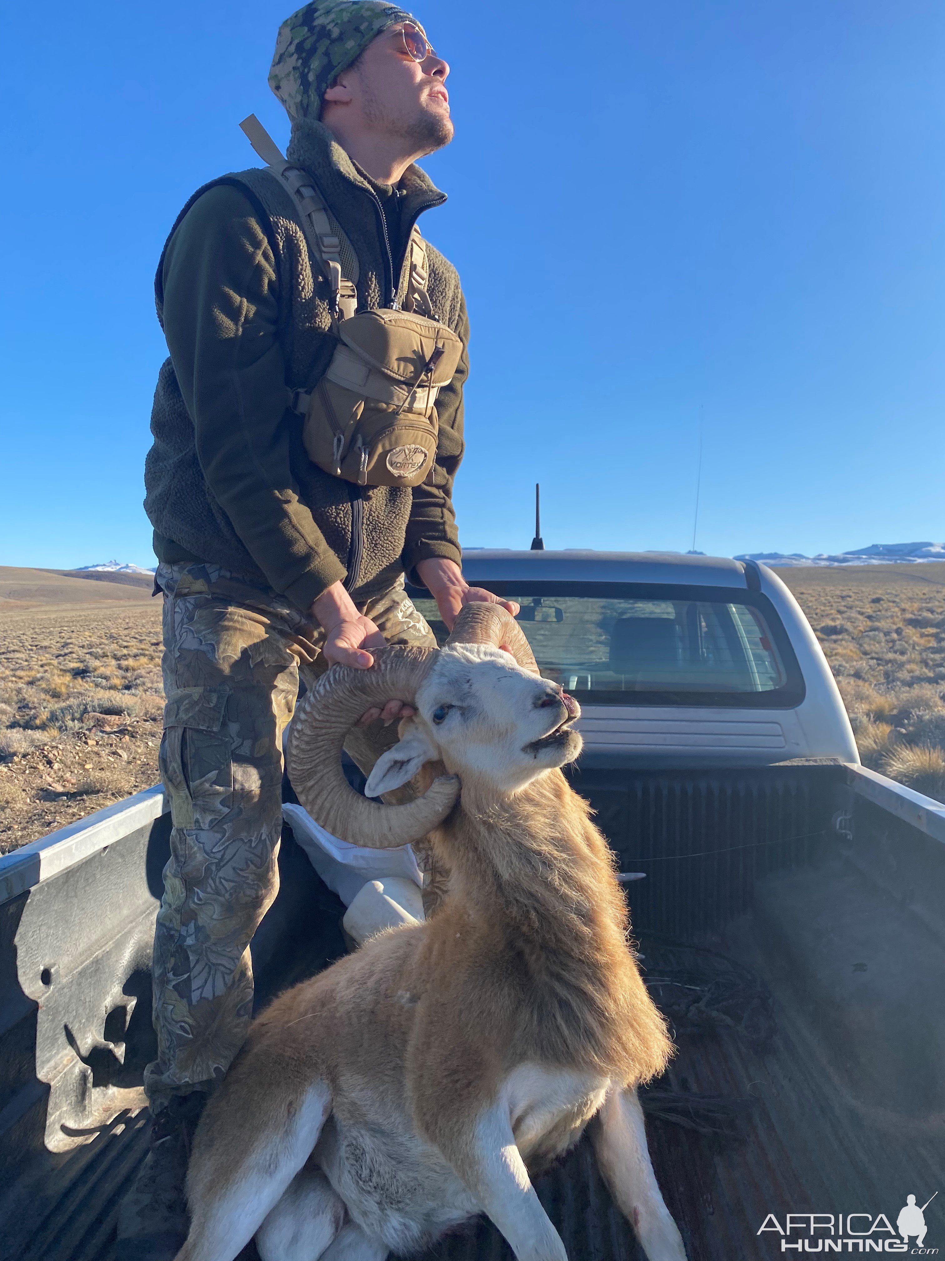 Patagonia Dall Ram Hunt Argentina