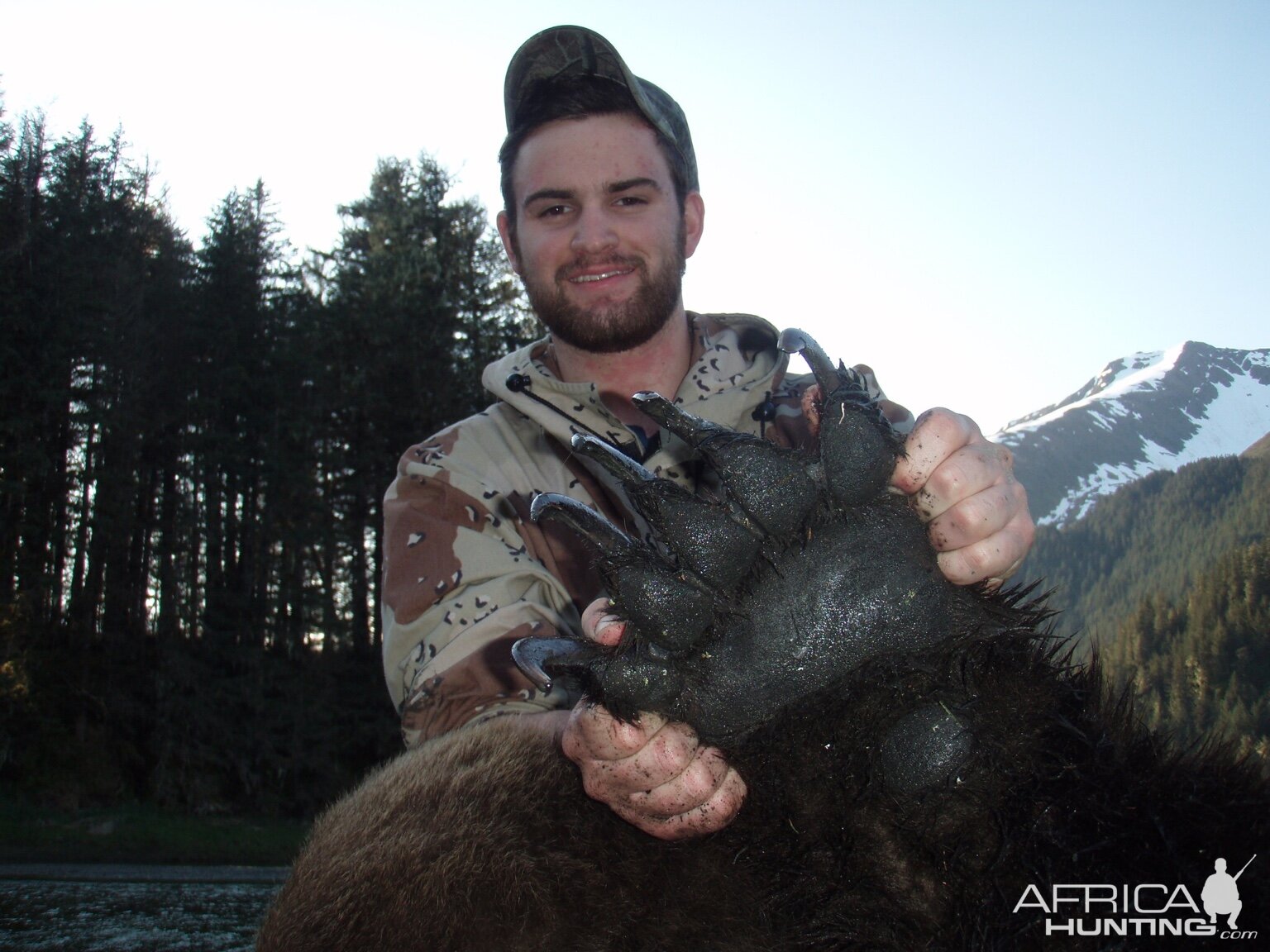 Paw of a Brown Bear