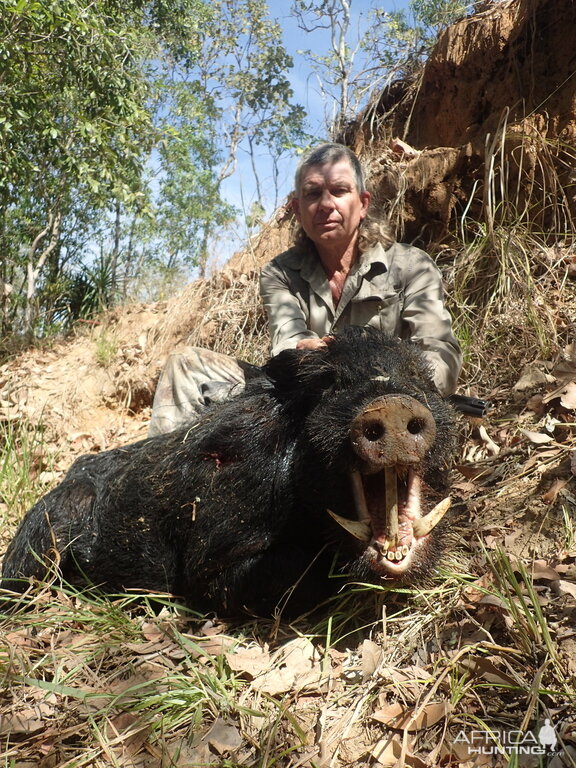 Pig Hunt Australia