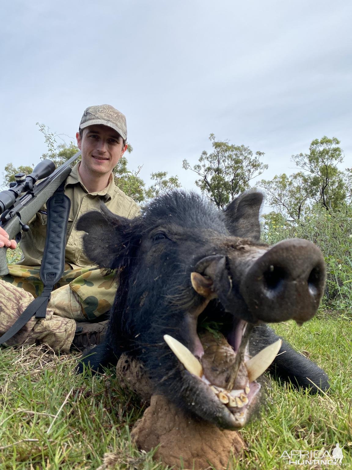 pig-hunting-australia-africahunting