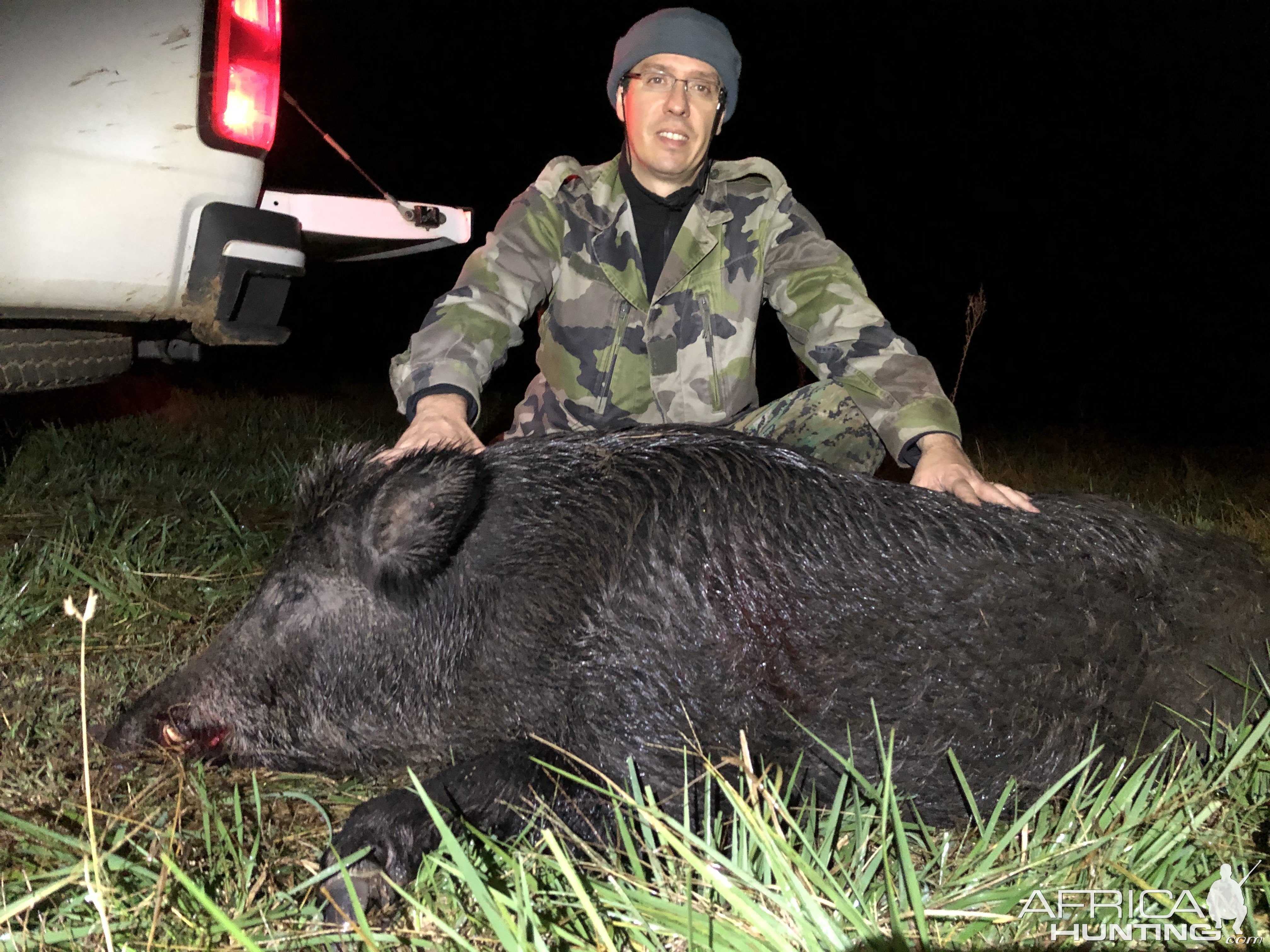 Pig Hunting