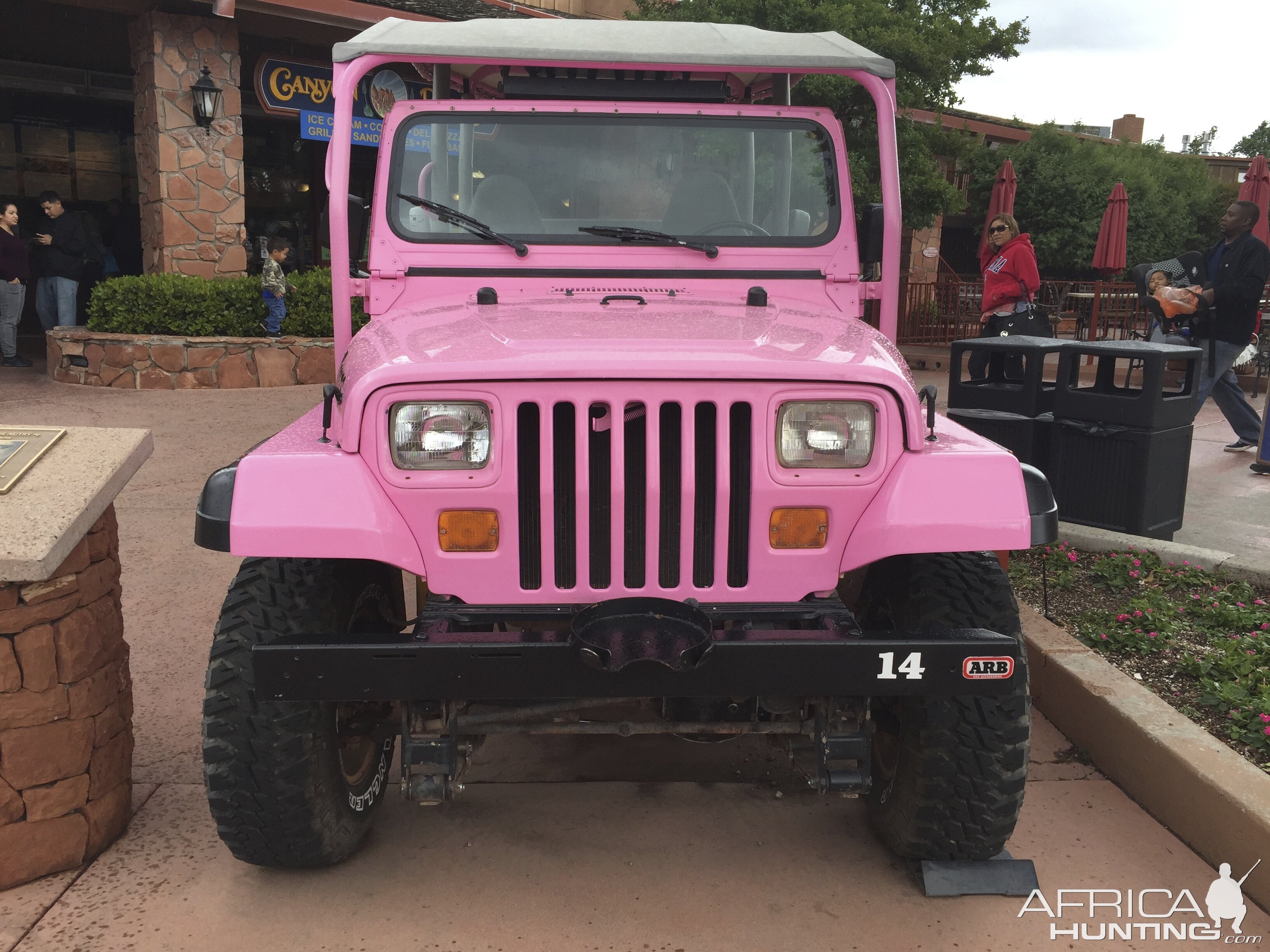 Pink Jeep