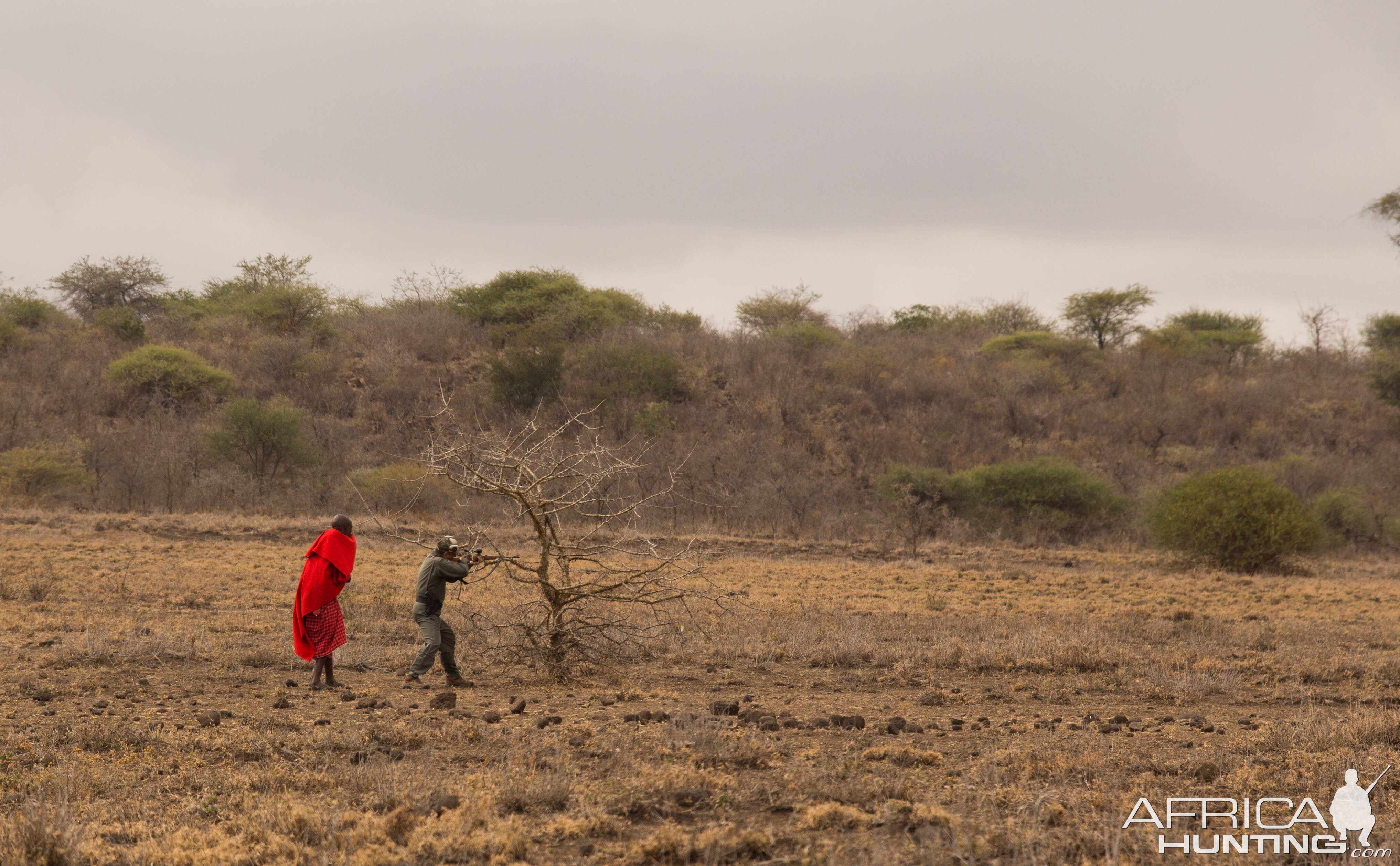 Plains game hunting, Tanzania