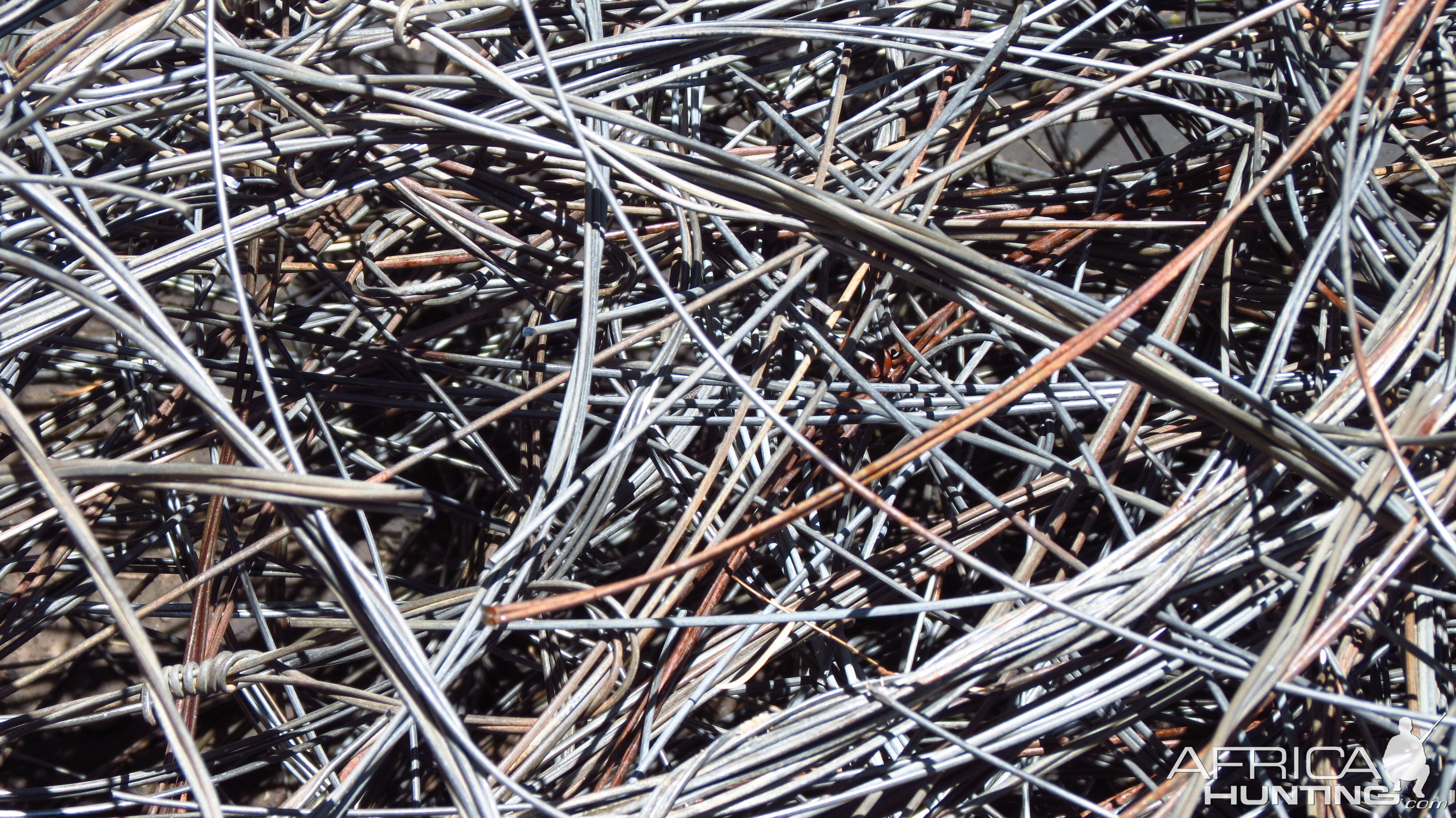 Poacher Snares Namibia