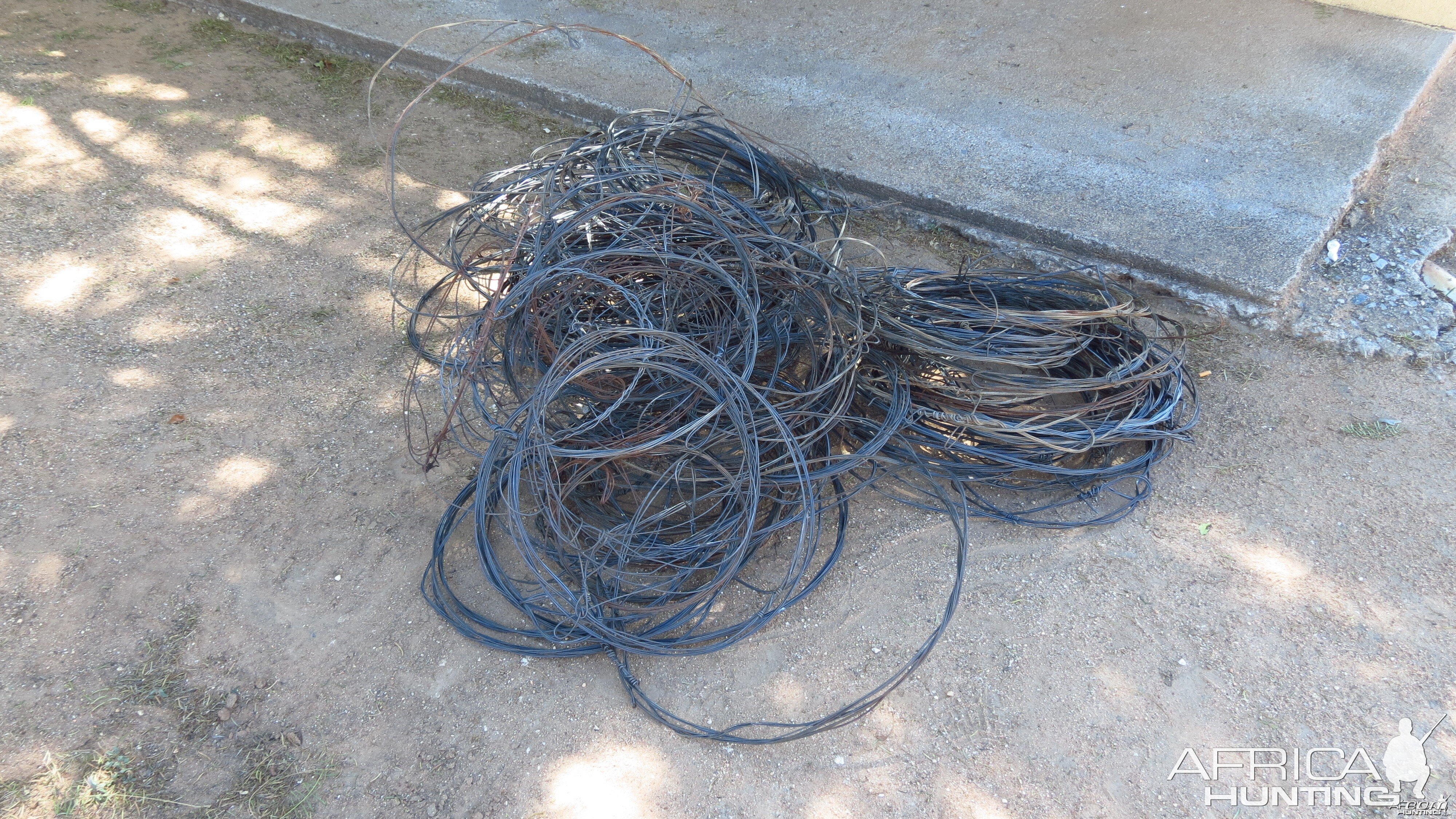 Poacher Snares Namibia