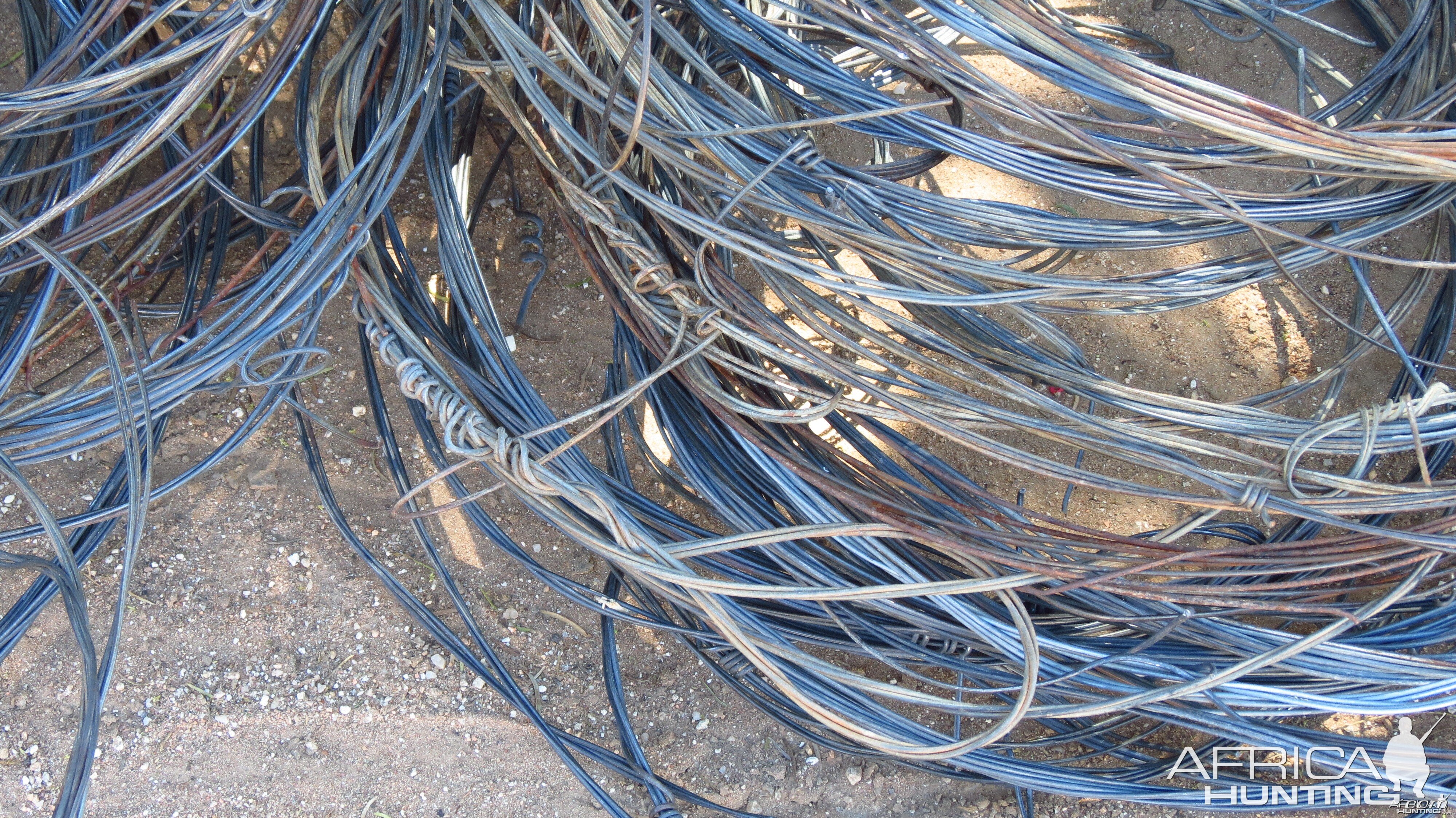 Poacher Snares Namibia