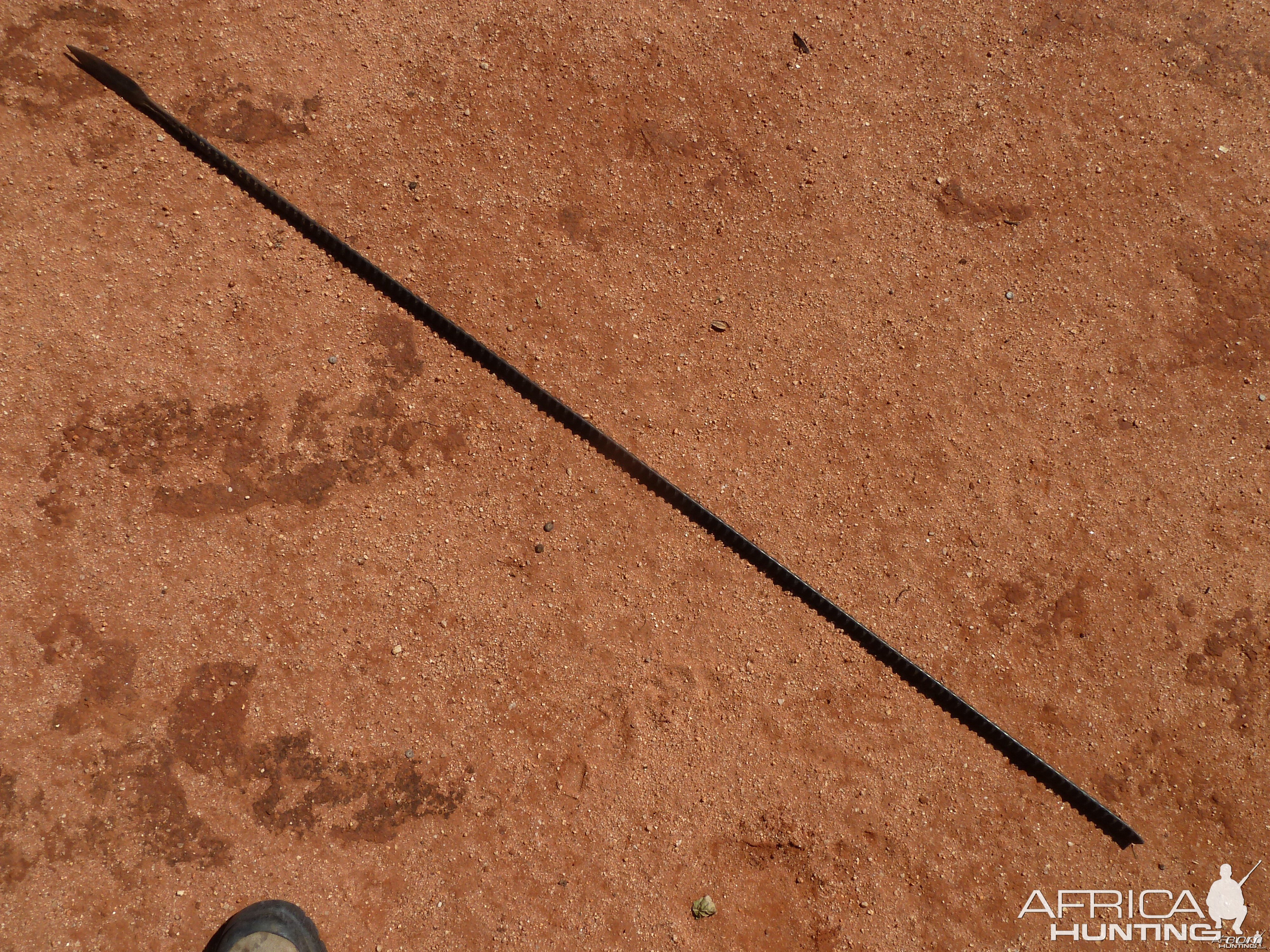 Poacher Spear Namibia