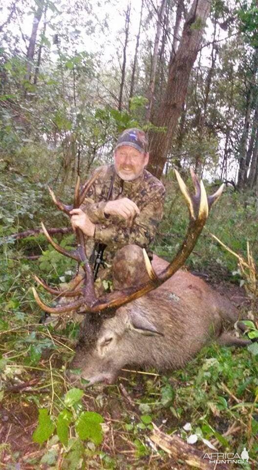 Poland Hunt Red Stag