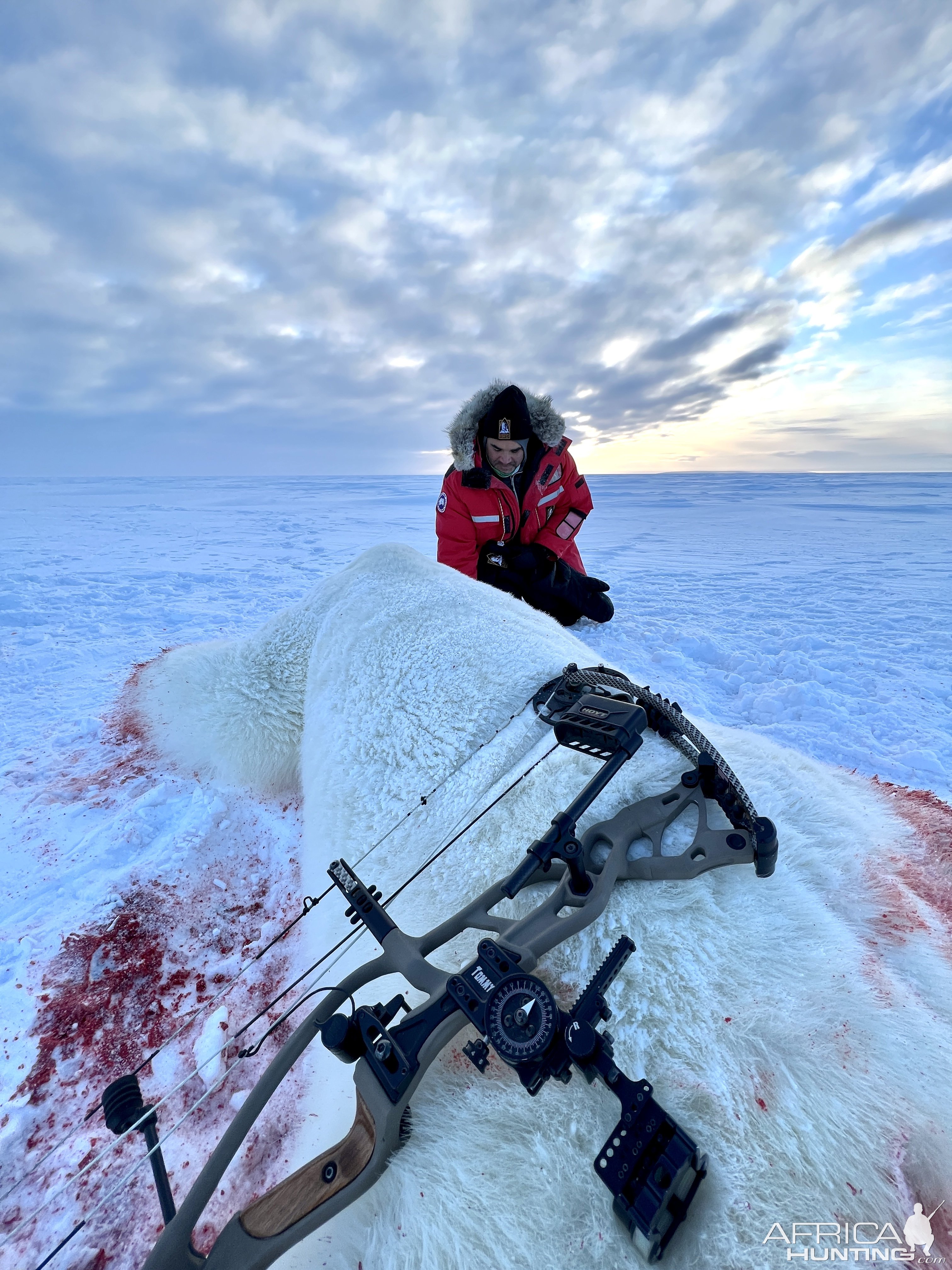 Polar Bear Bow Hunt