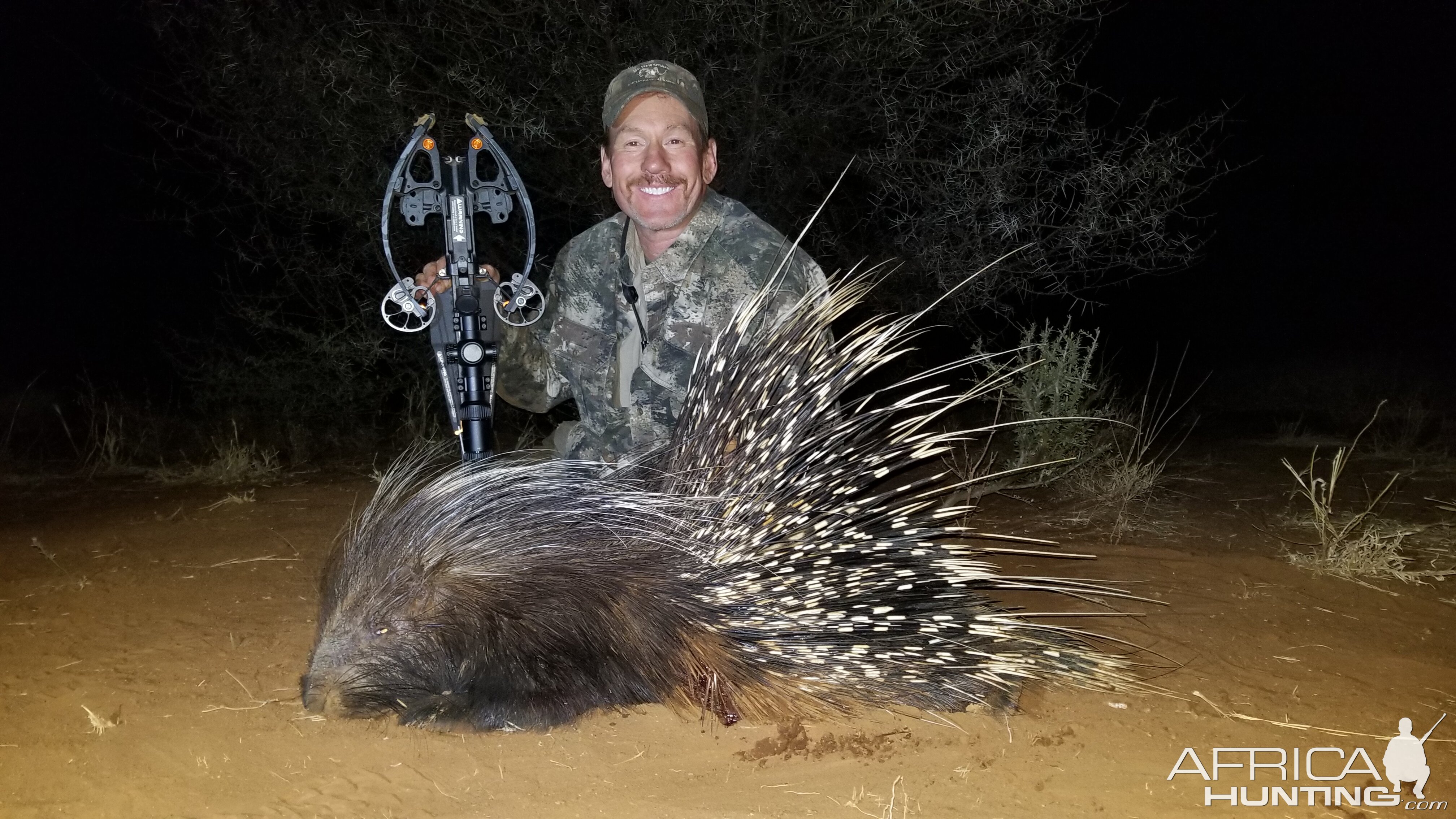 Porcupine Crossbow