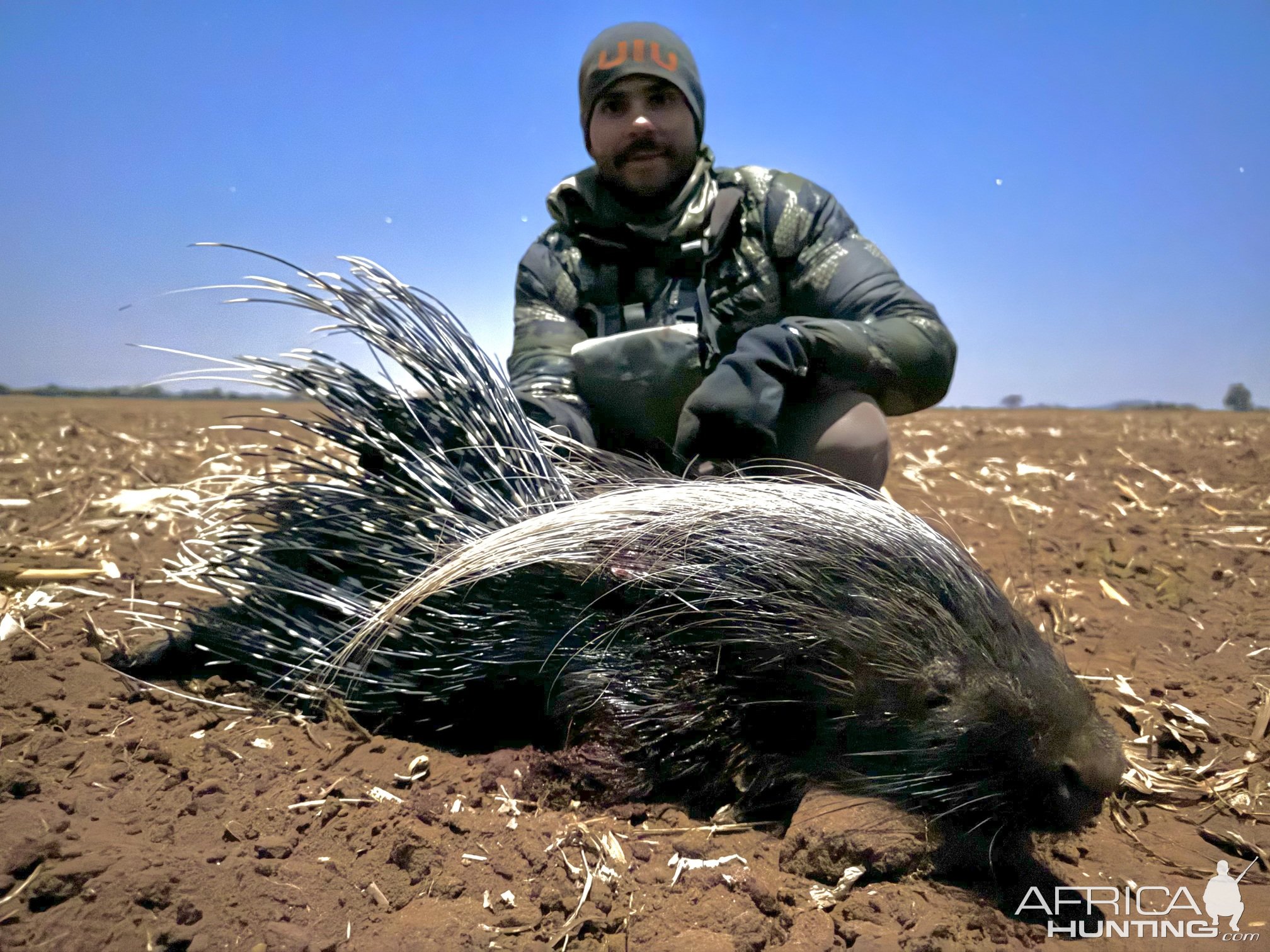 Porcupine Hunting South Africa