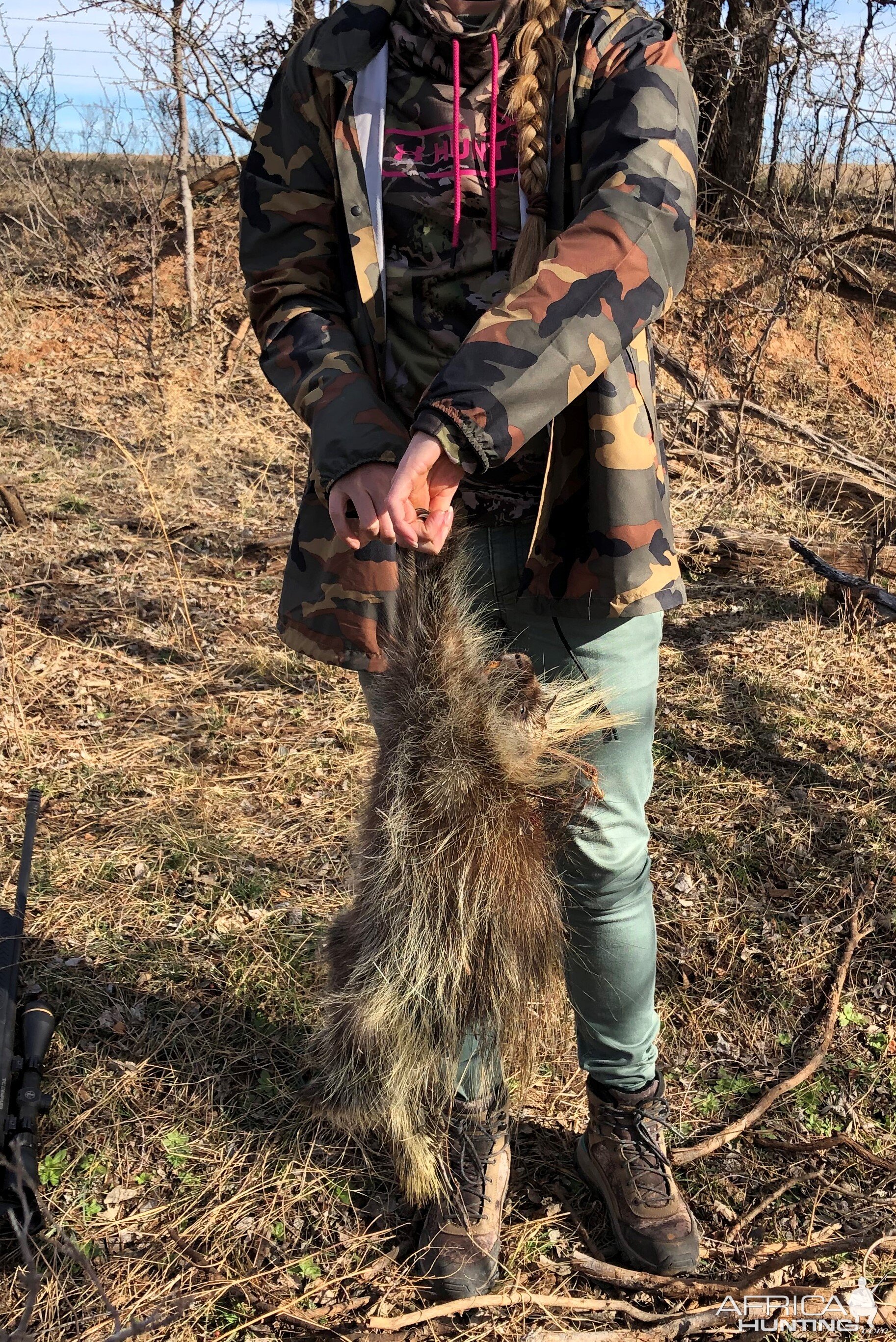 Porcupine Hunting Texas USA