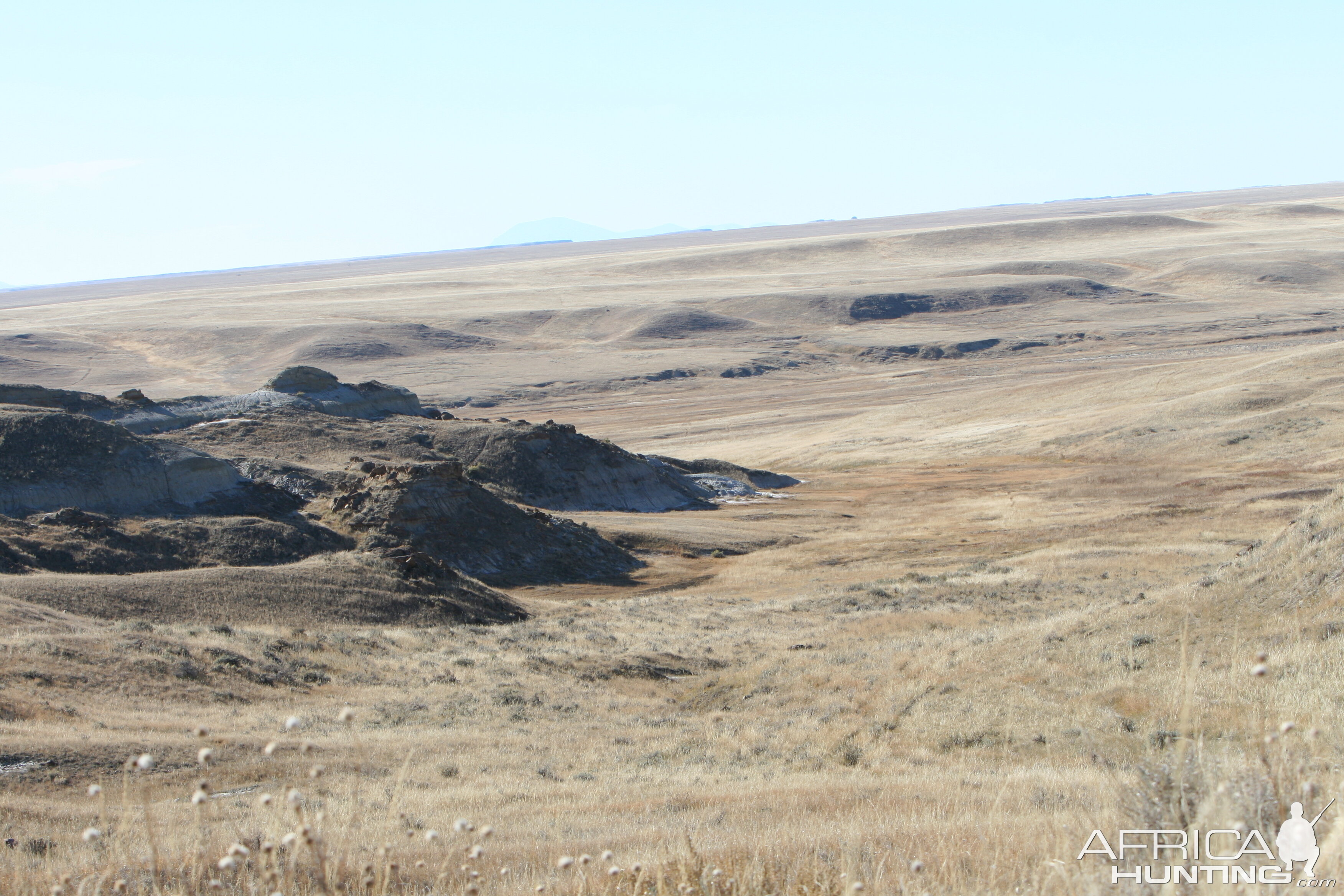 Prairie Draw