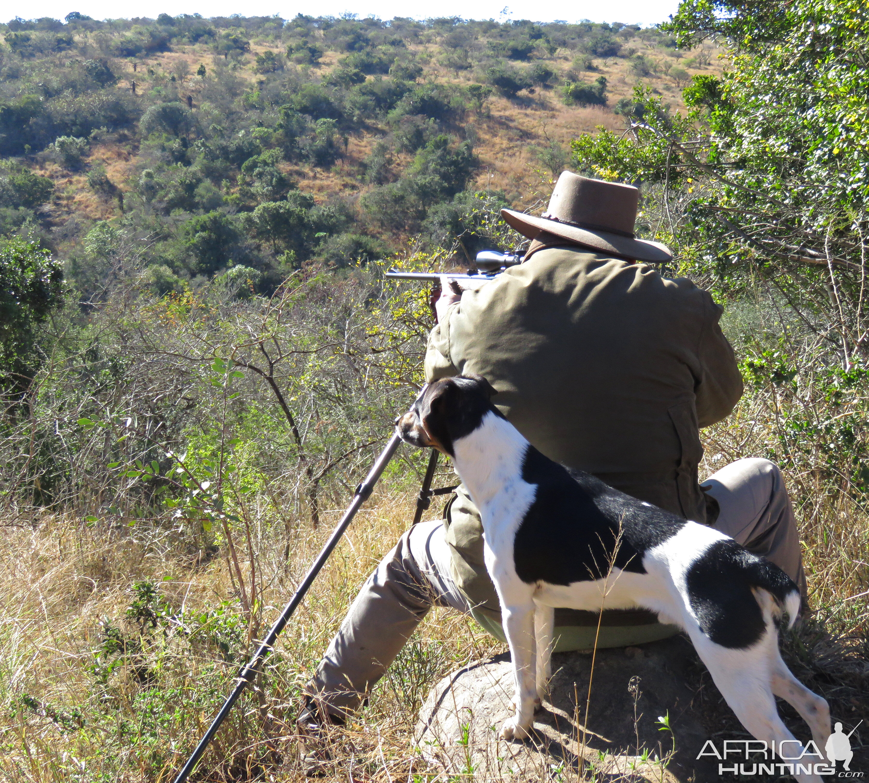 Preparing for shot across a valley to secure an awesome Nyala Bull, Trigger my pooch at the ready