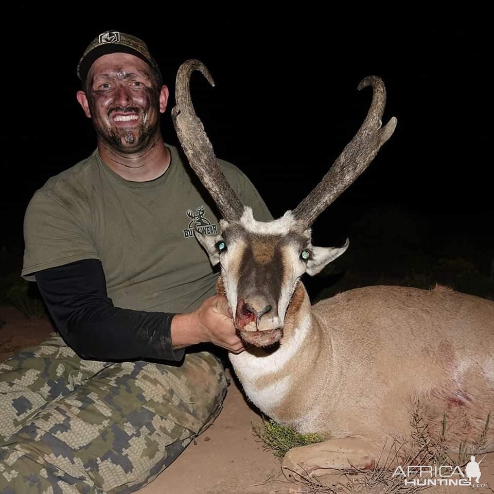 Pronghorn Antelope Hunting Arizona USA