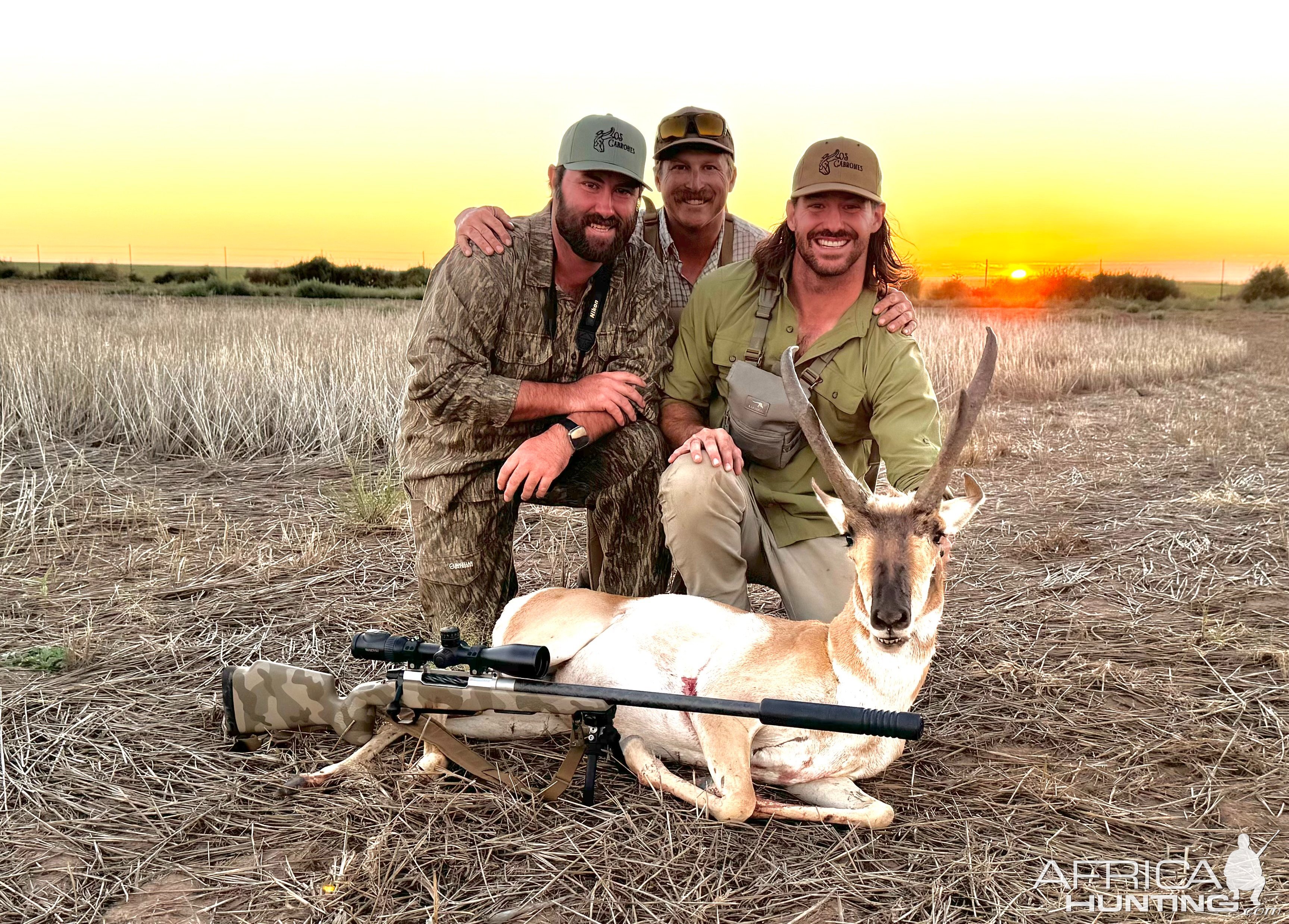 Pronghorn Hunt Texas