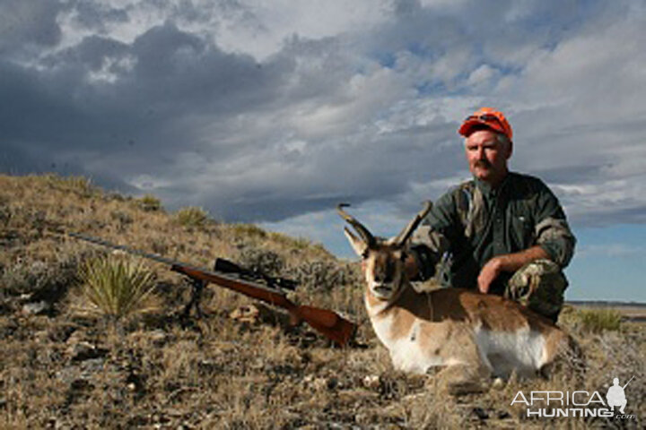 Pronghorn hunt USA