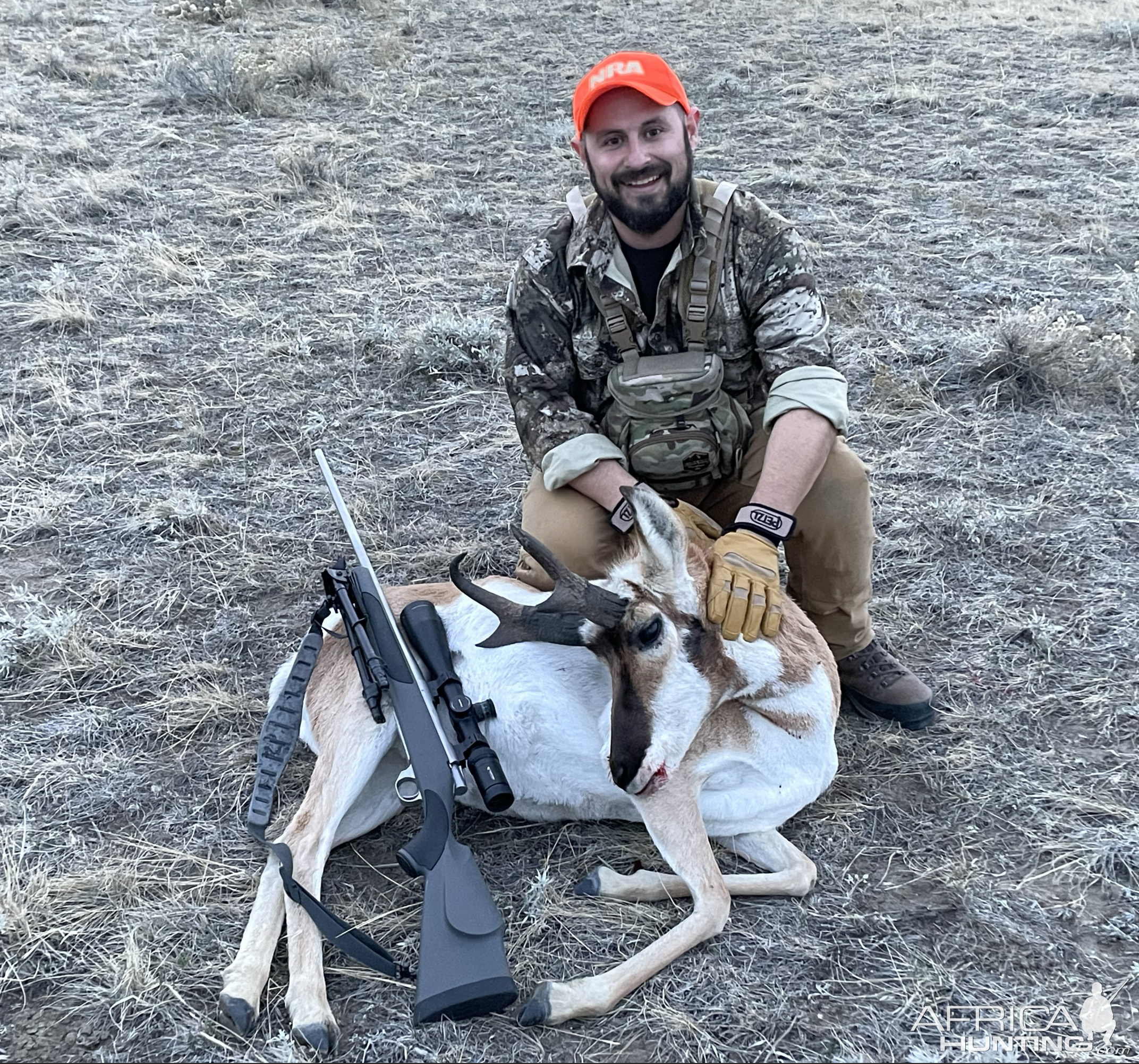 Pronghorn Hunt Wyoming