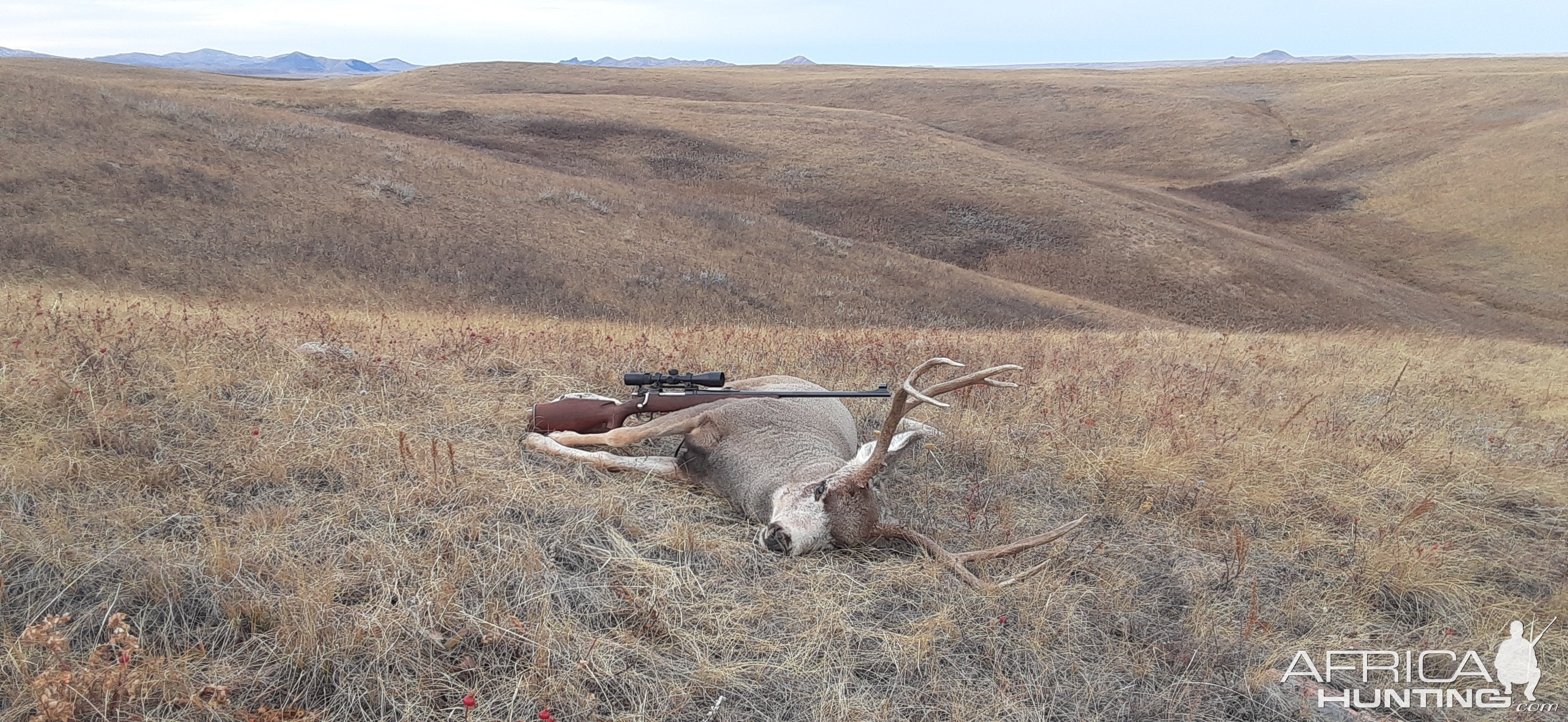 Pronghorn Hunt