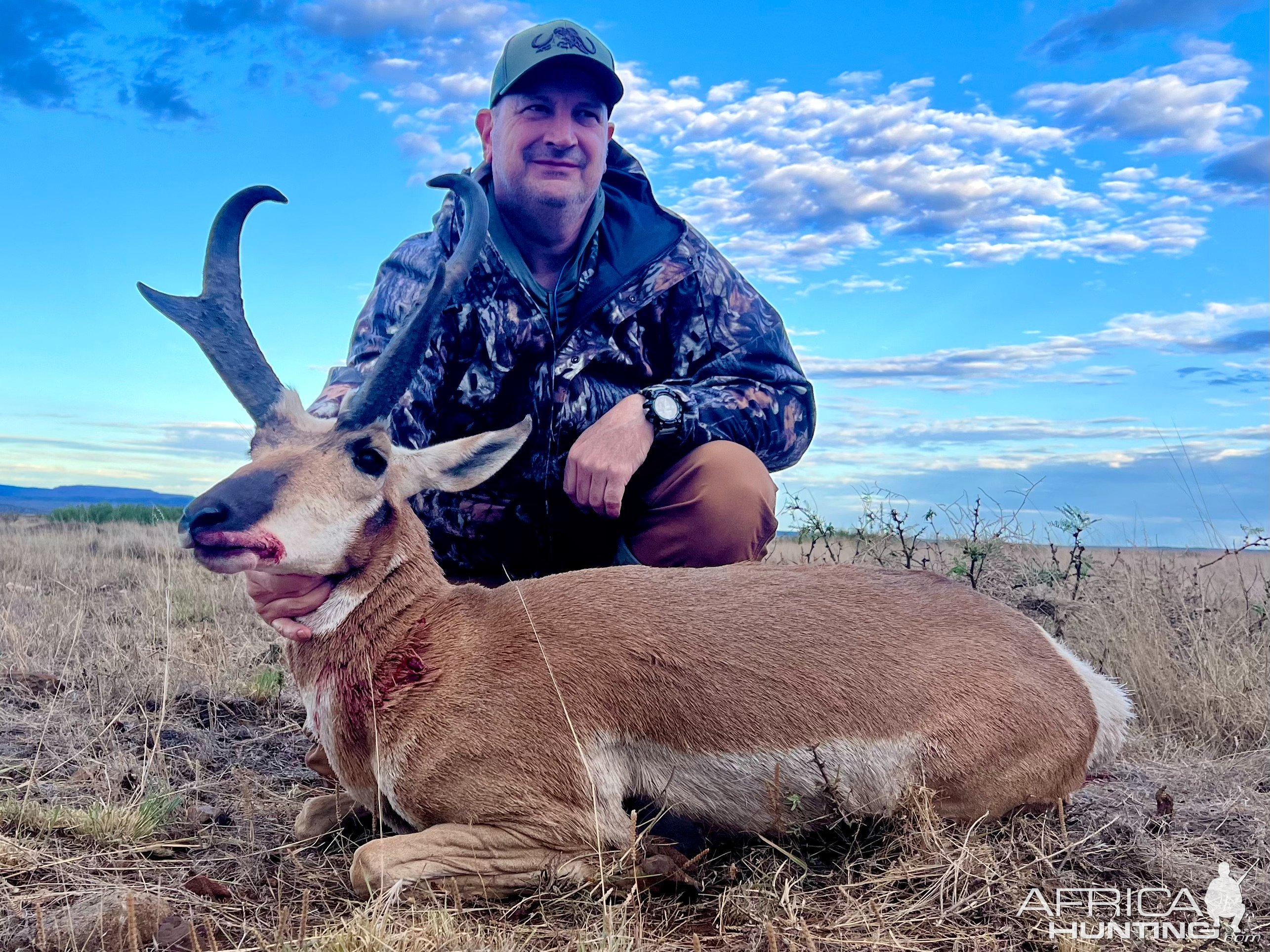 Pronghorn Hunting New Mexico