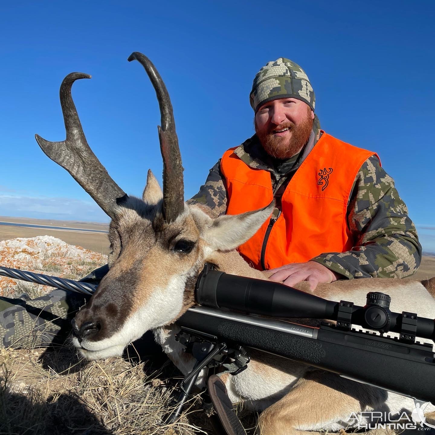 Pronghorn Hunting