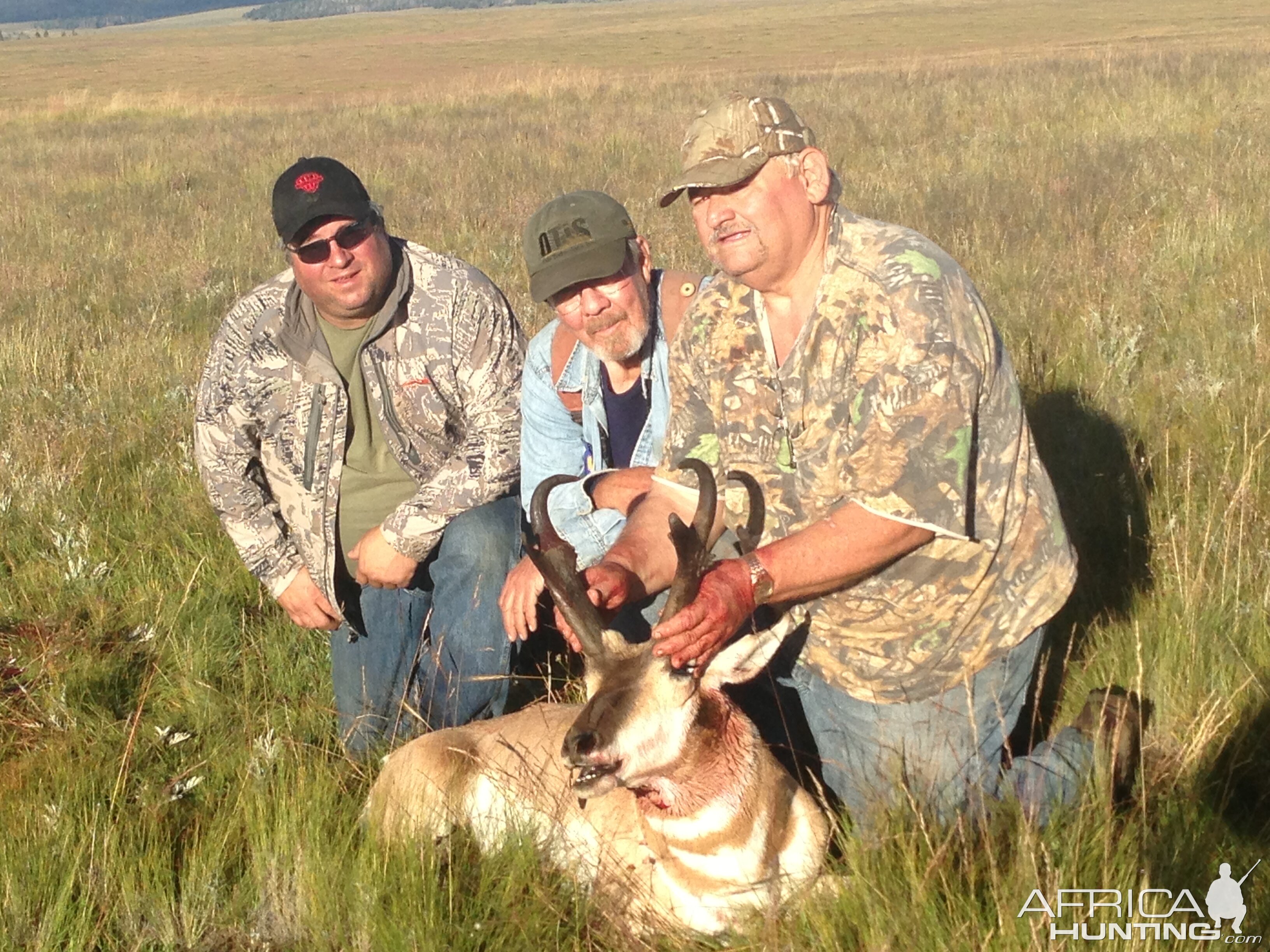 Pronghorn Hunting