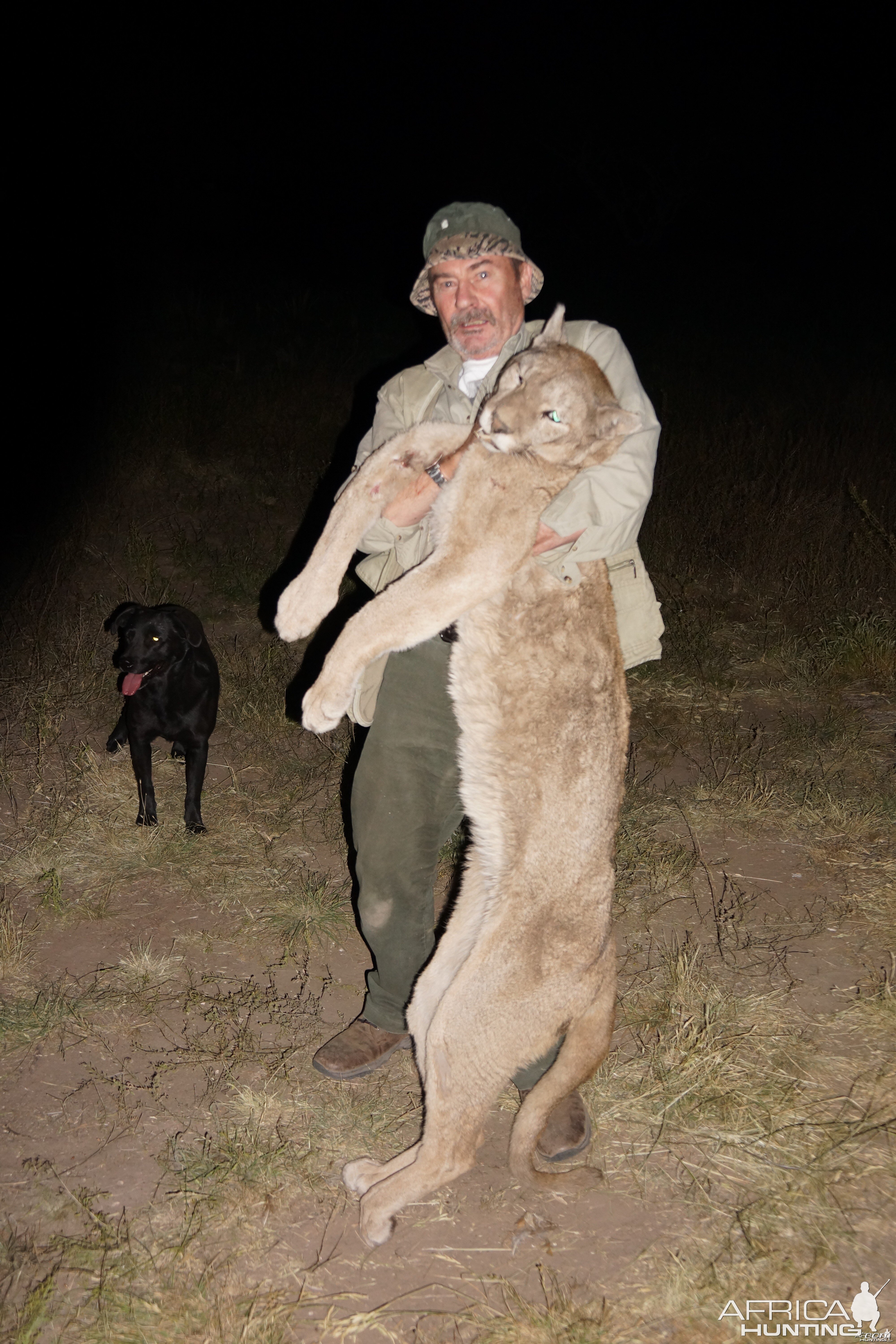 Puma hunted in Argentina AfricaHunting