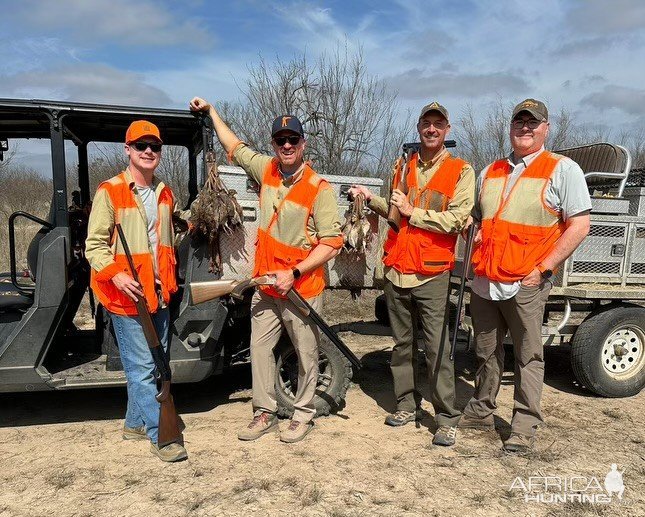 Quail Hunt Texas