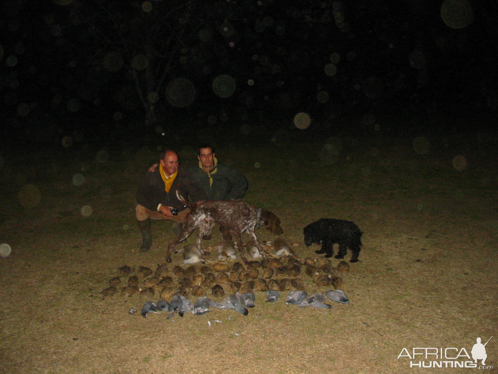 Rabbit, Partdrige & Dove Hunt Argentina