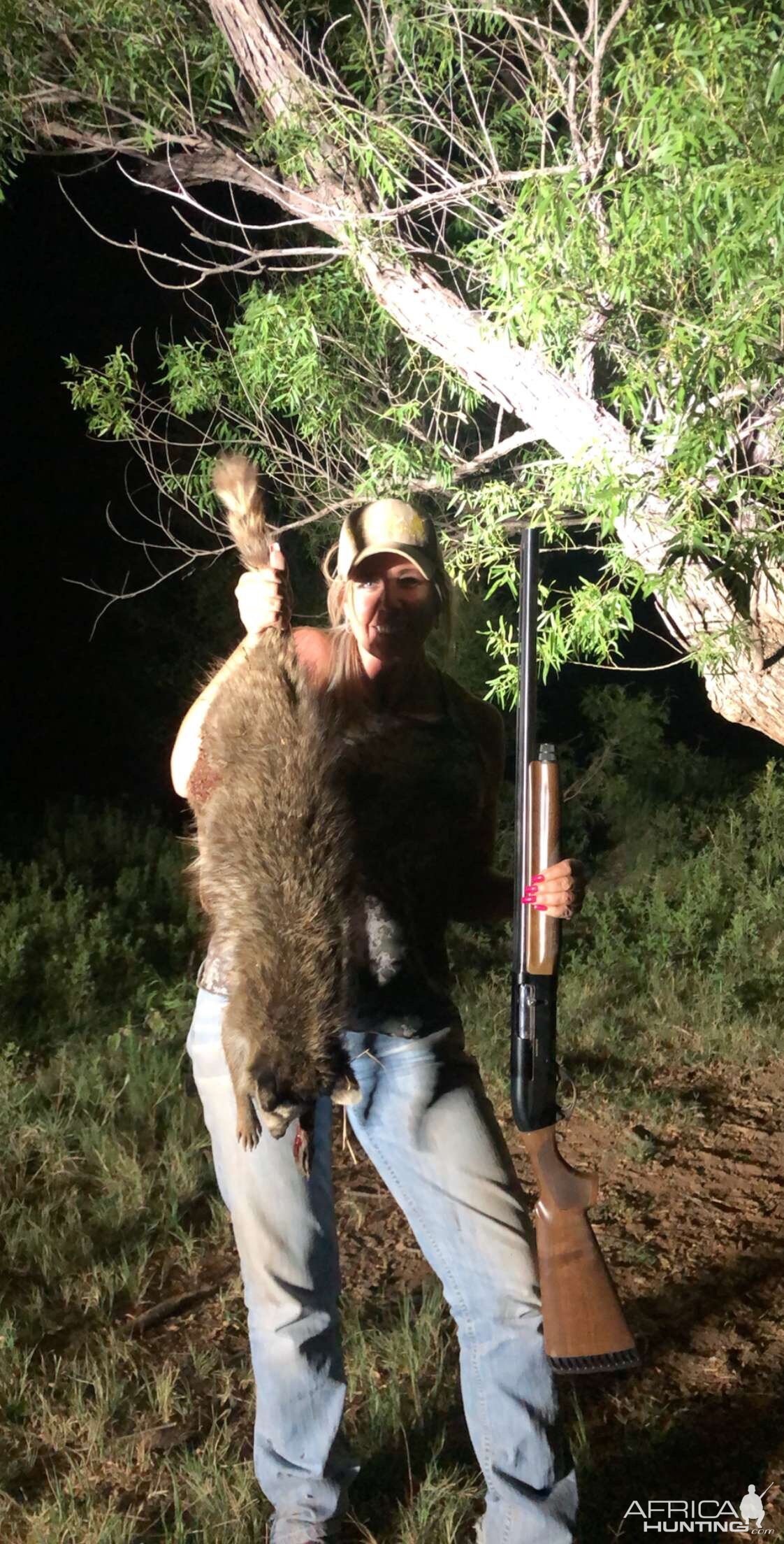 Raccoon Hunting Texas USA