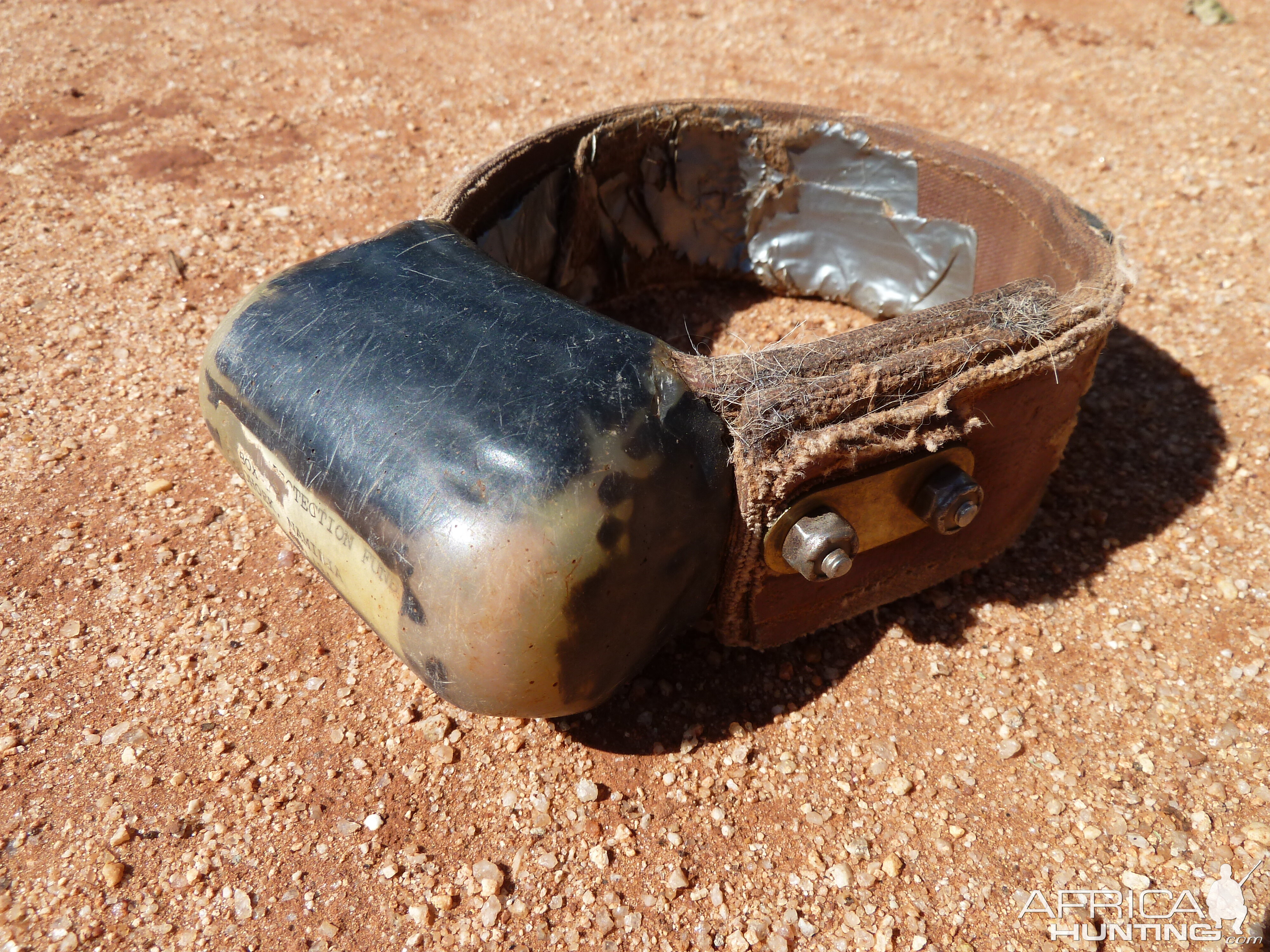 Radio Collar found on dead Caracal