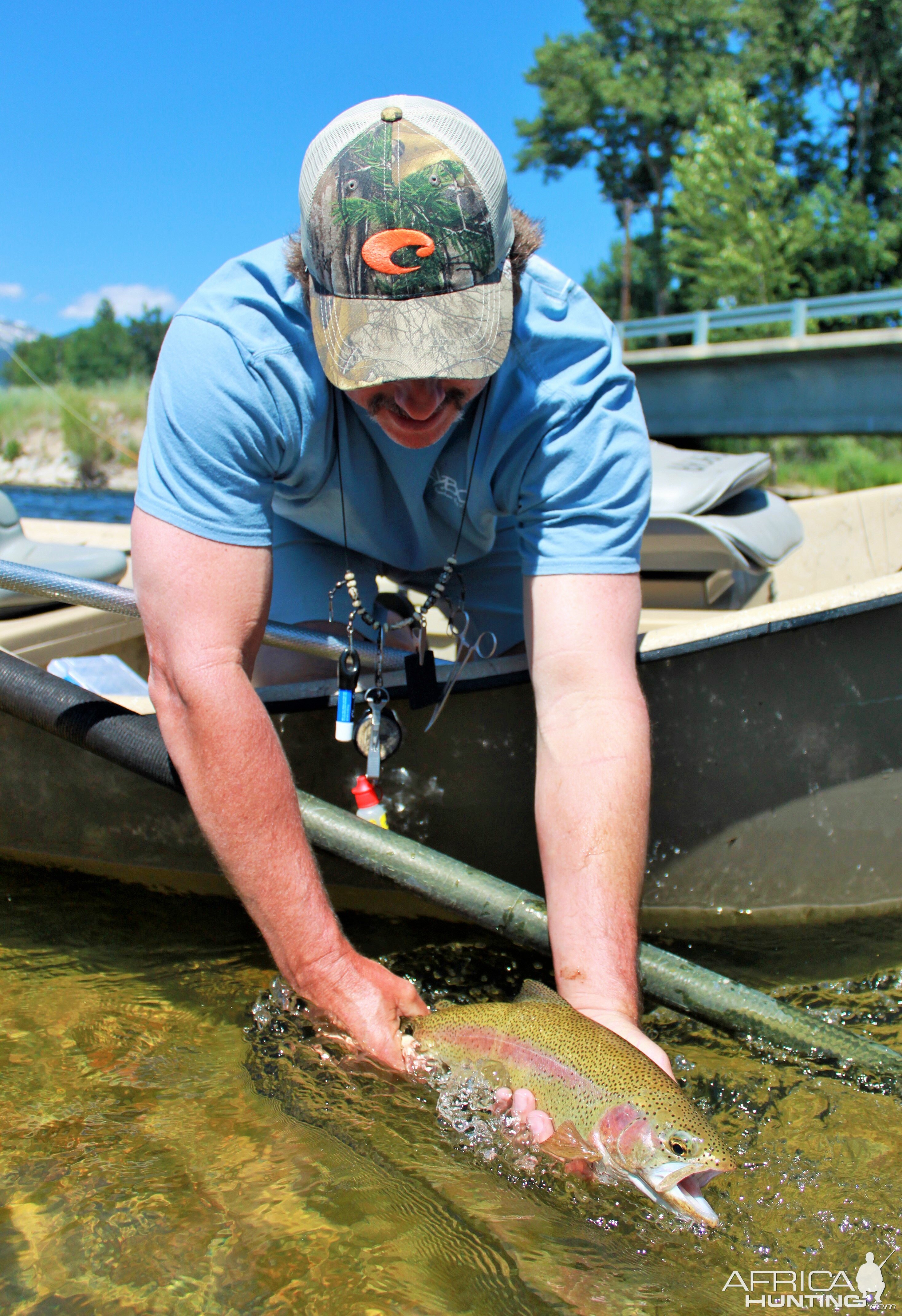 Rainbow release, Bitterroot River, Darby, Montana