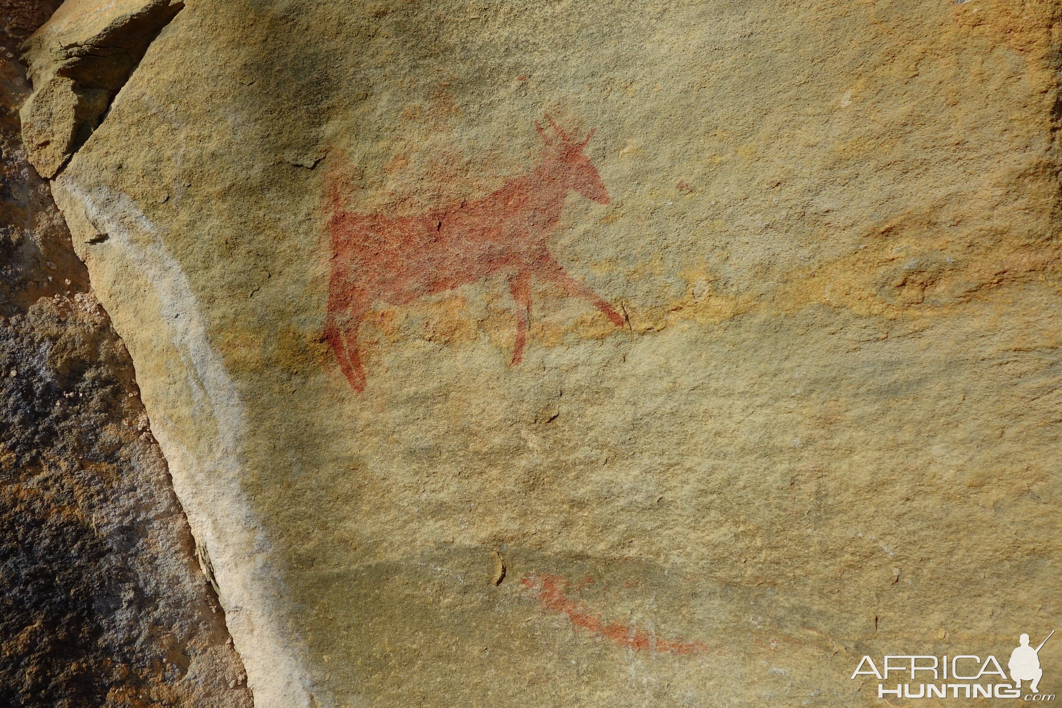 Rare rock paintings at untouched paleolithic site