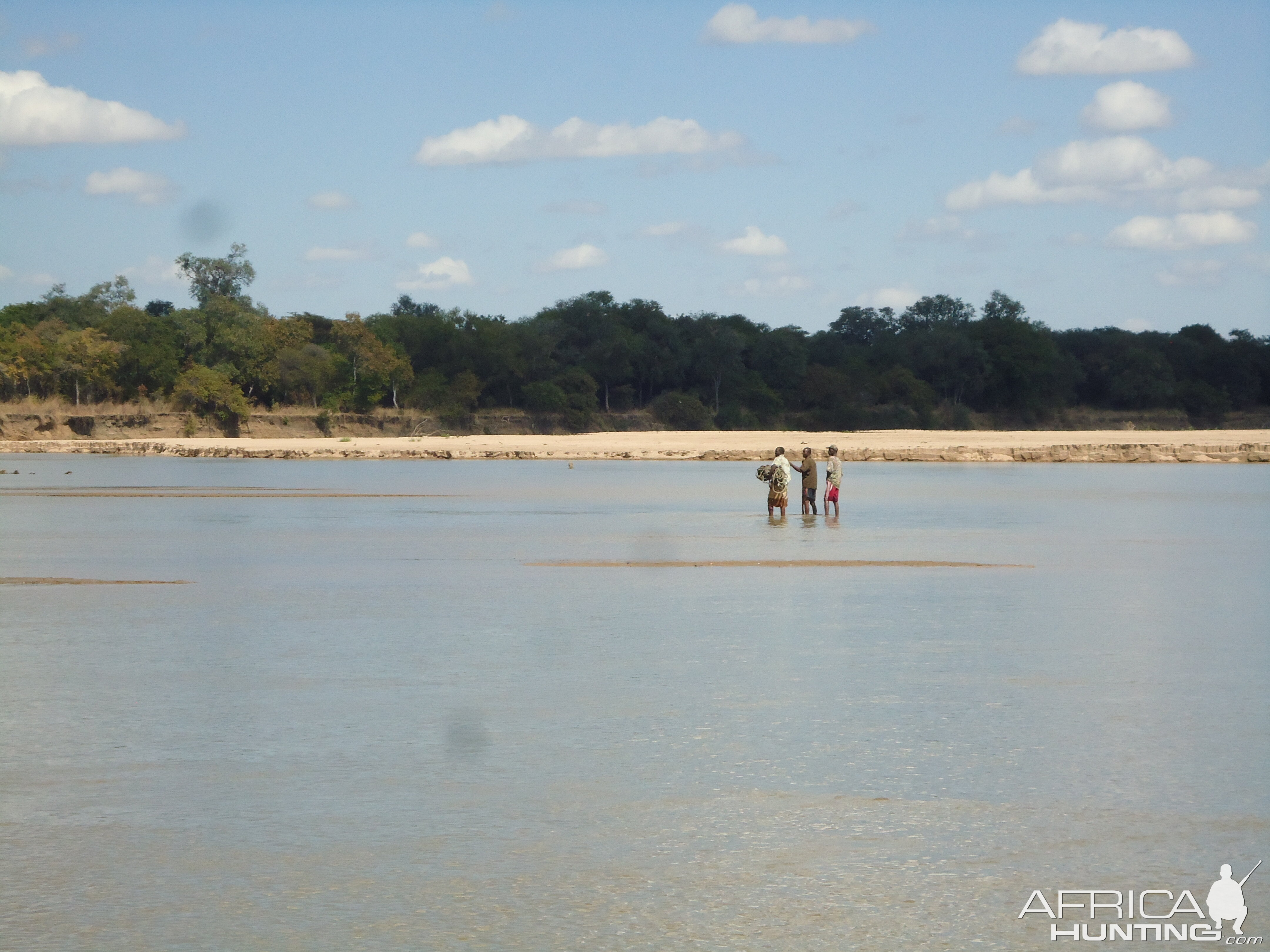 Recovering Crocodile from river Zambia