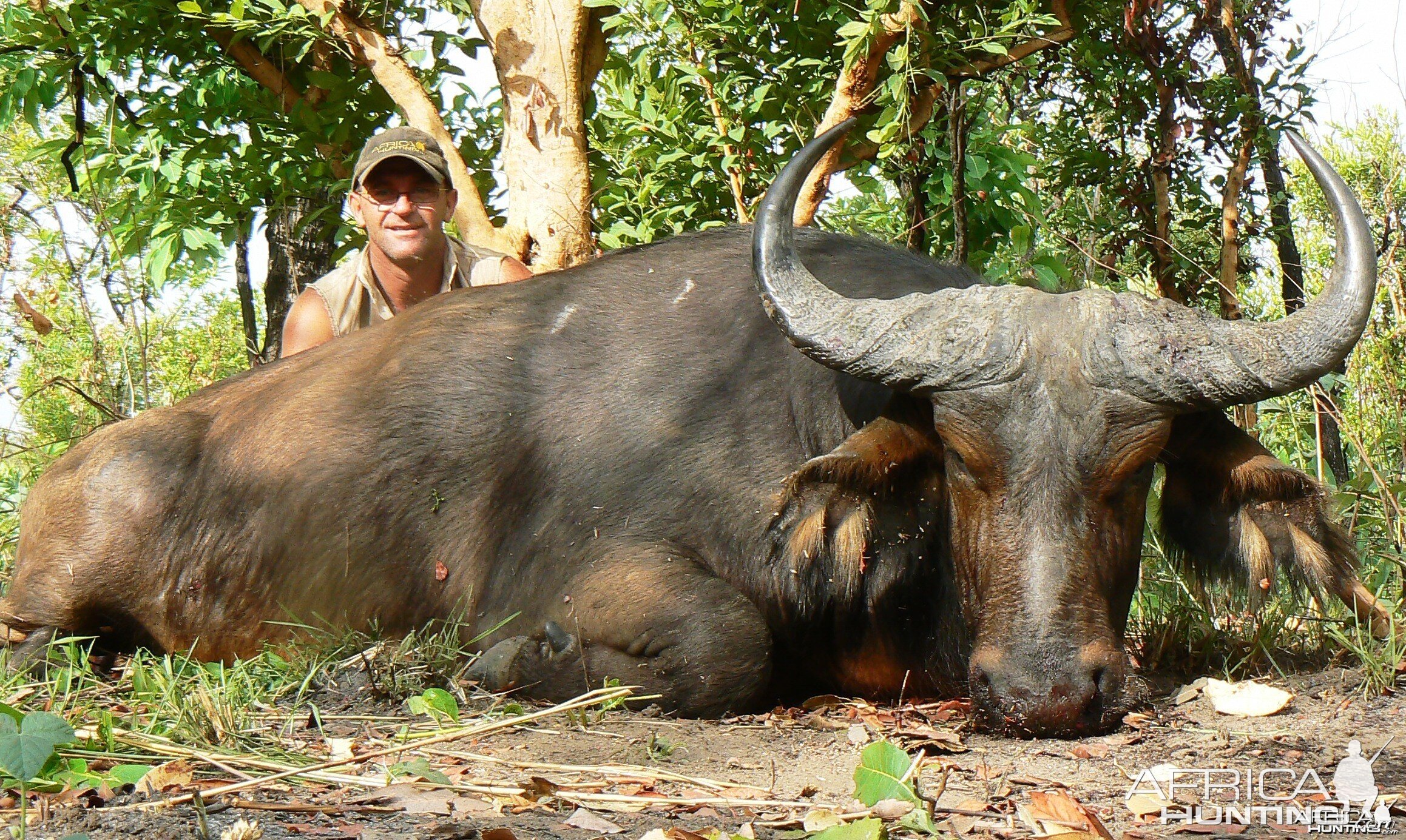 Red bull 29' inches Central African Republic