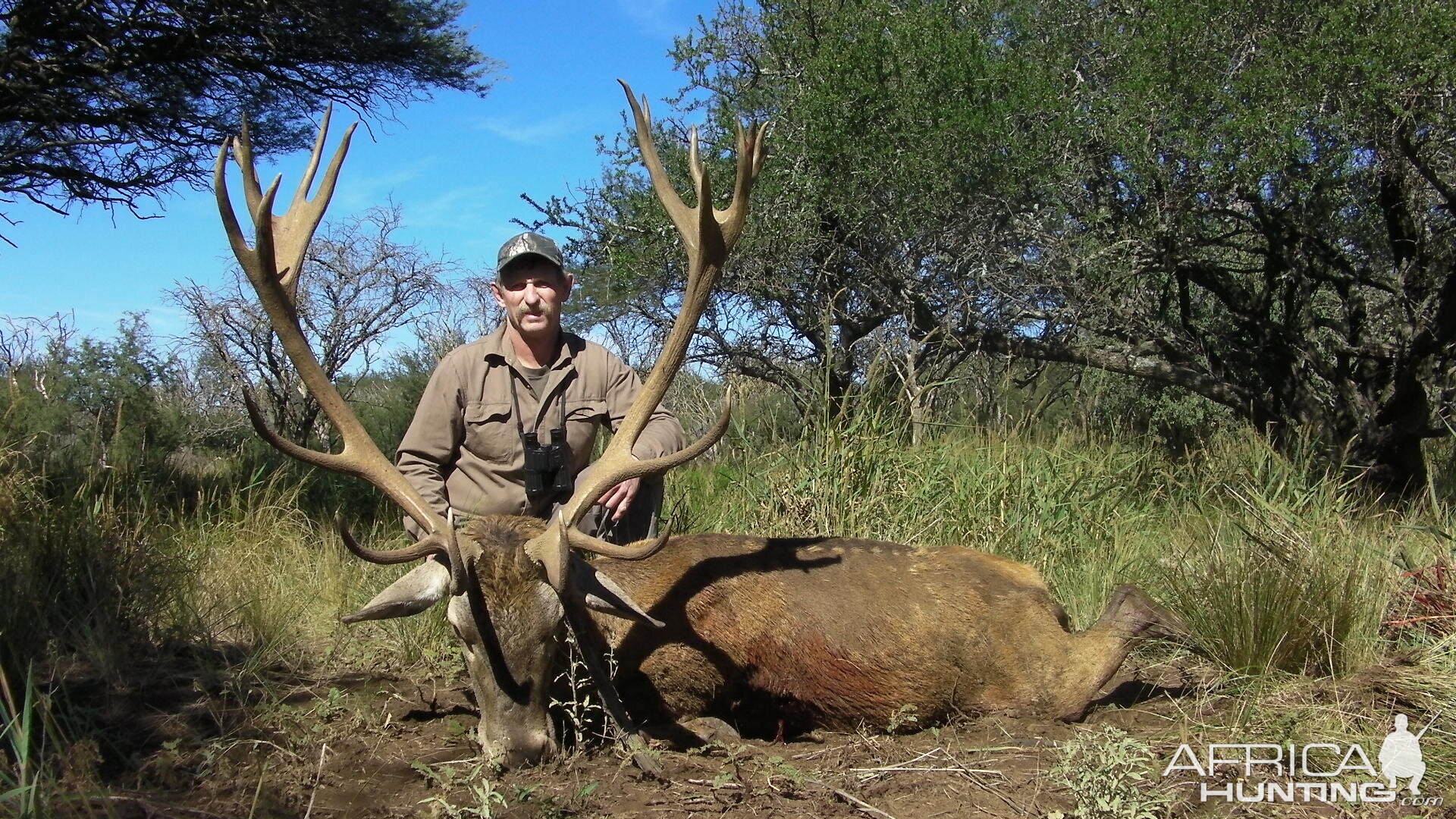 Red Deer Hunt in La Pampa Argentina | AfricaHunting.com