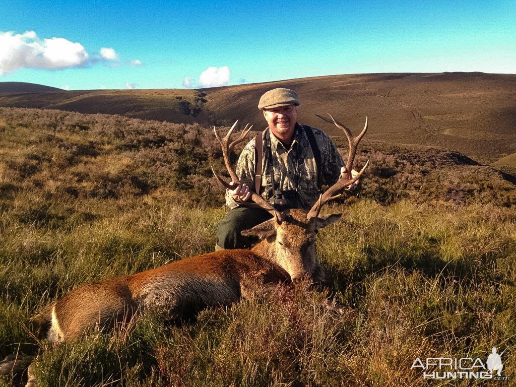 Red Deer Hunting Scottland