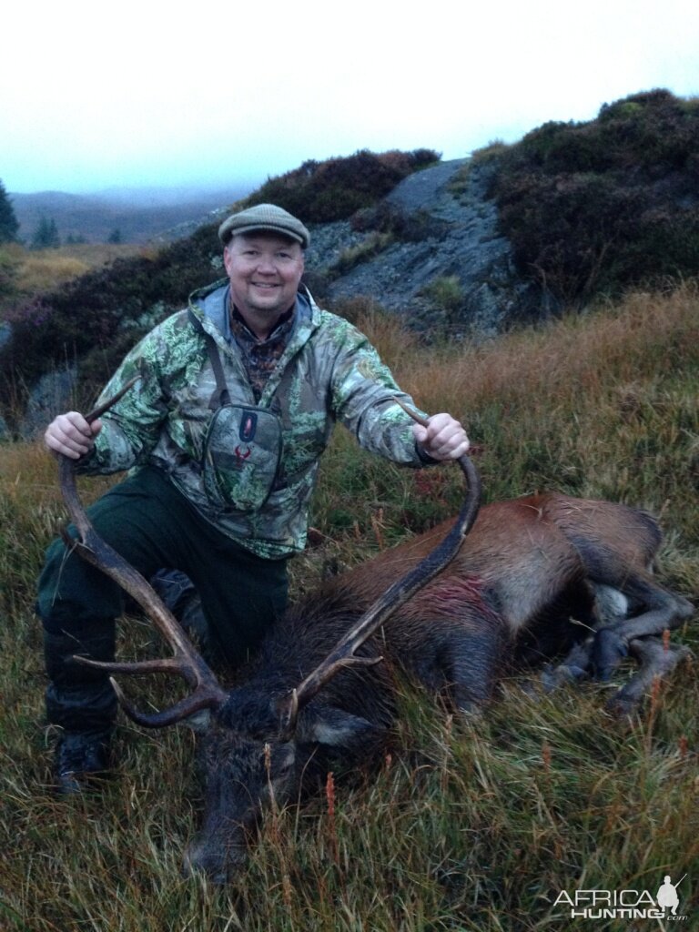 Red Deer Hunting Scottland