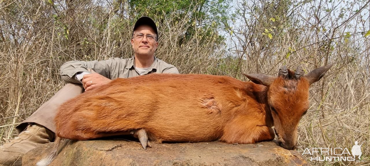 Red Duiker Hunt