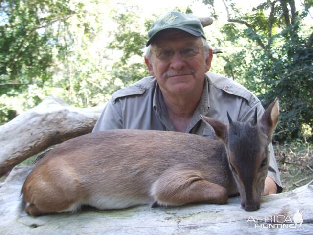 Red Duiker Hunt