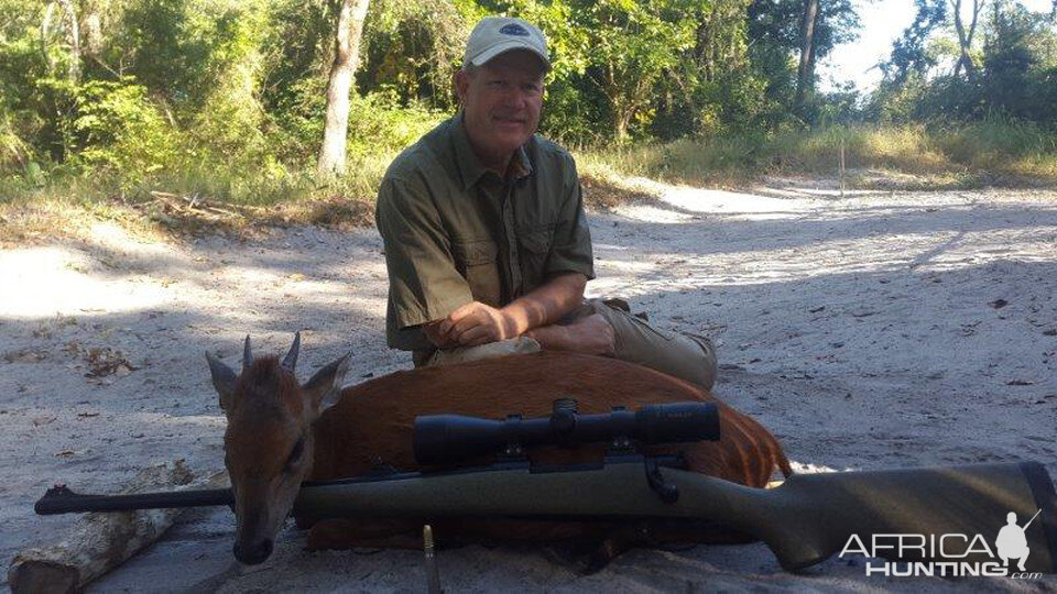 Red Duiker Hunting Mozambique