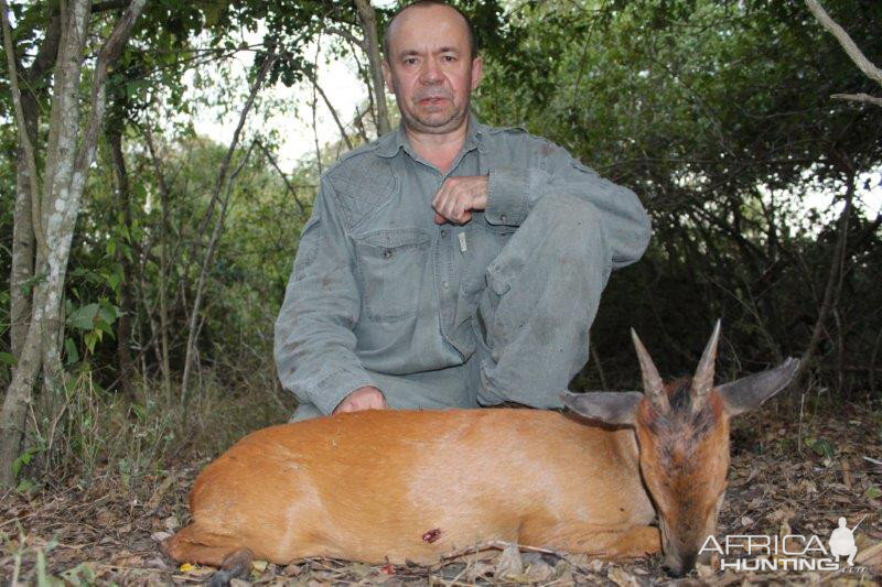 Red Duiker Hunting Mozambique