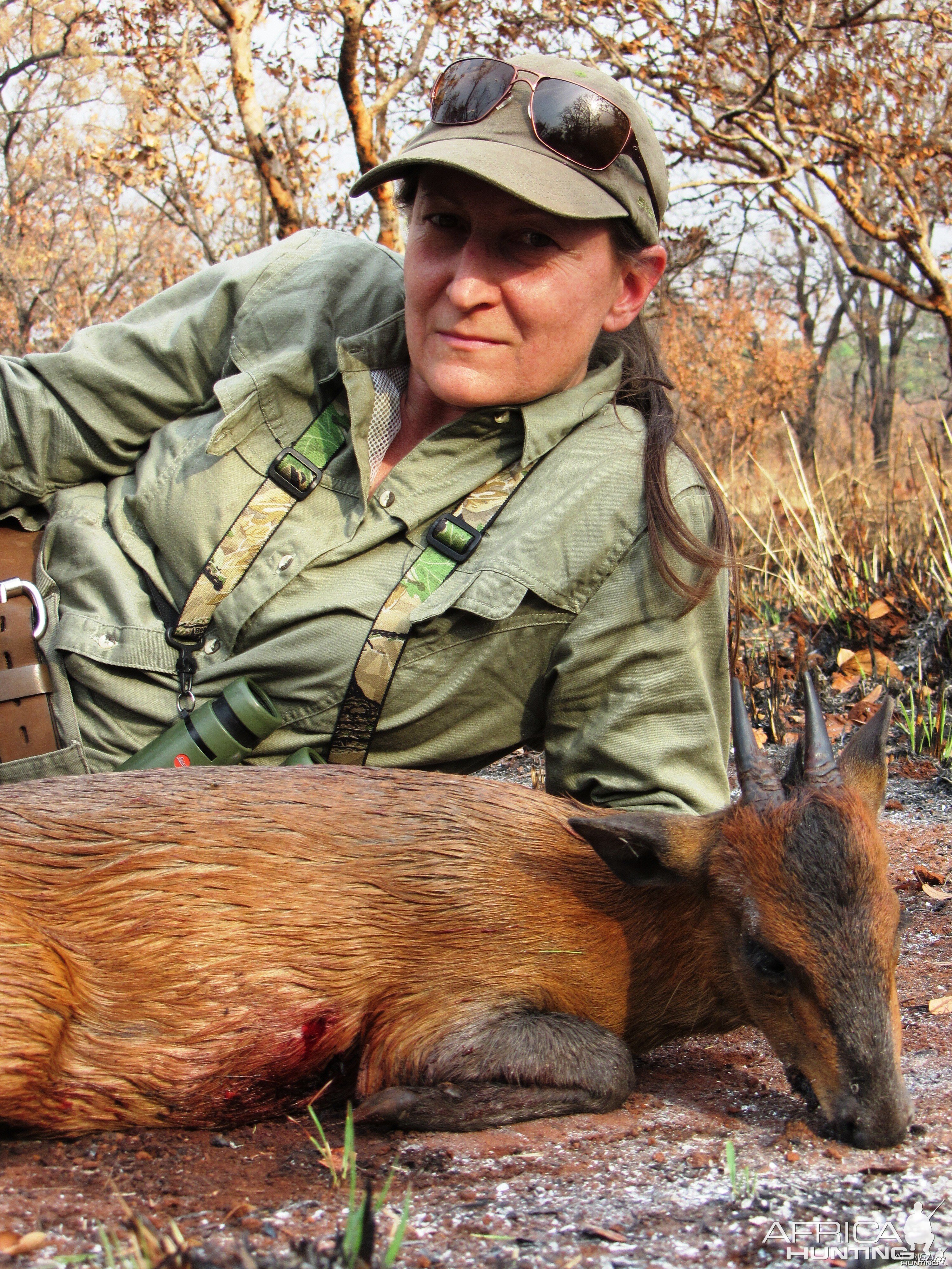 Red Flanked Duiker hunted in CAR