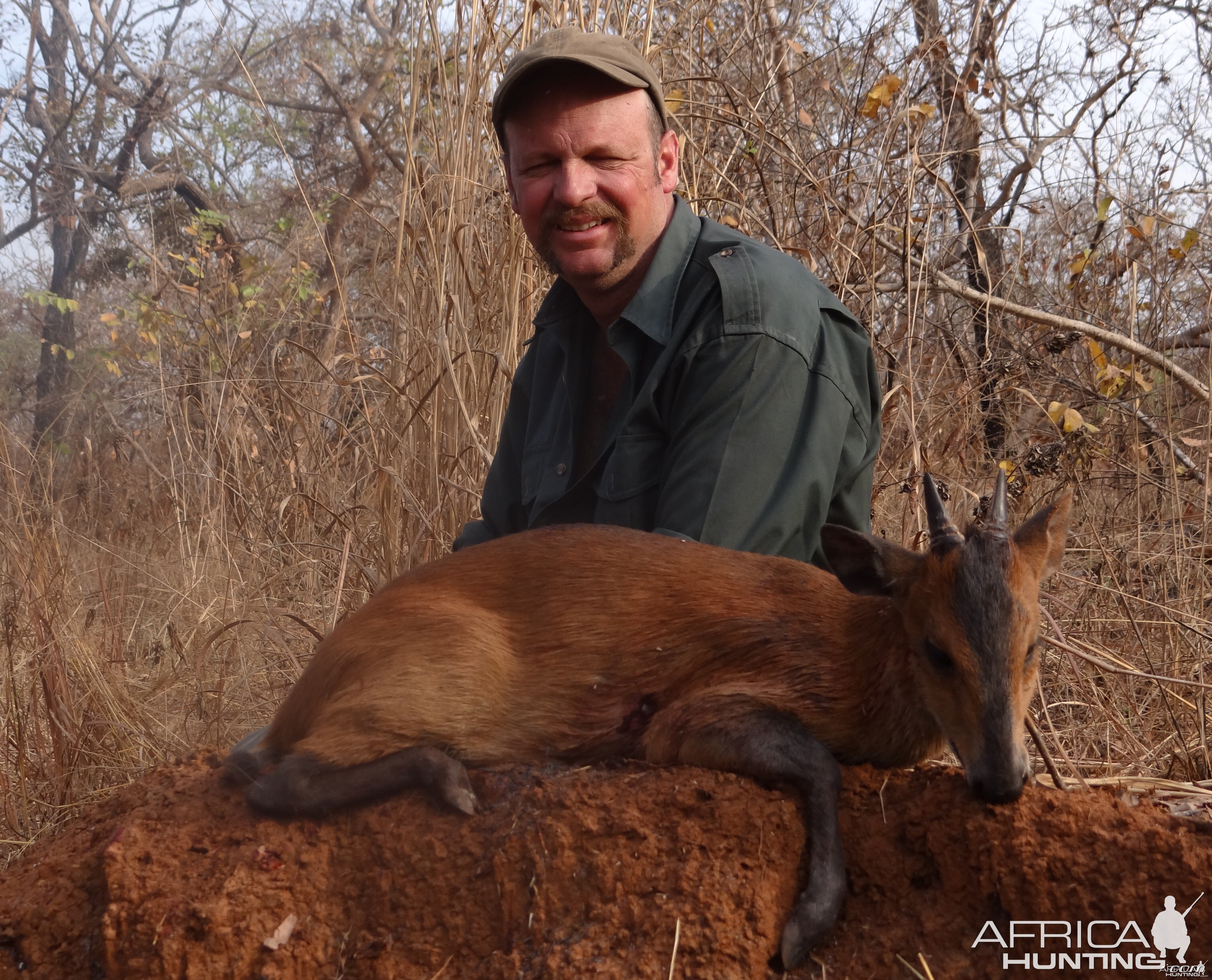 Red Flanked Duiker hunted in CAR