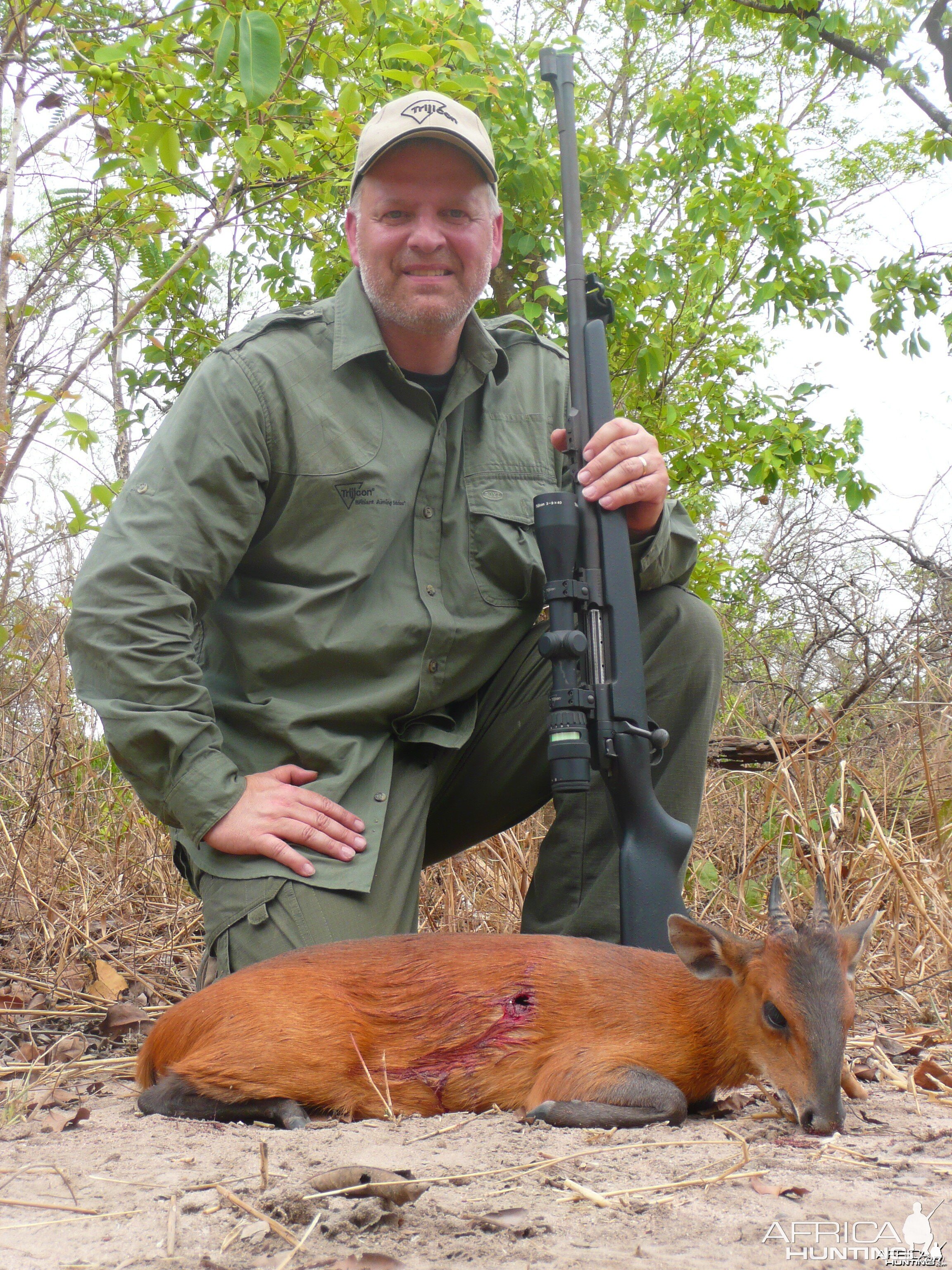 Red flanker duiker from CAR